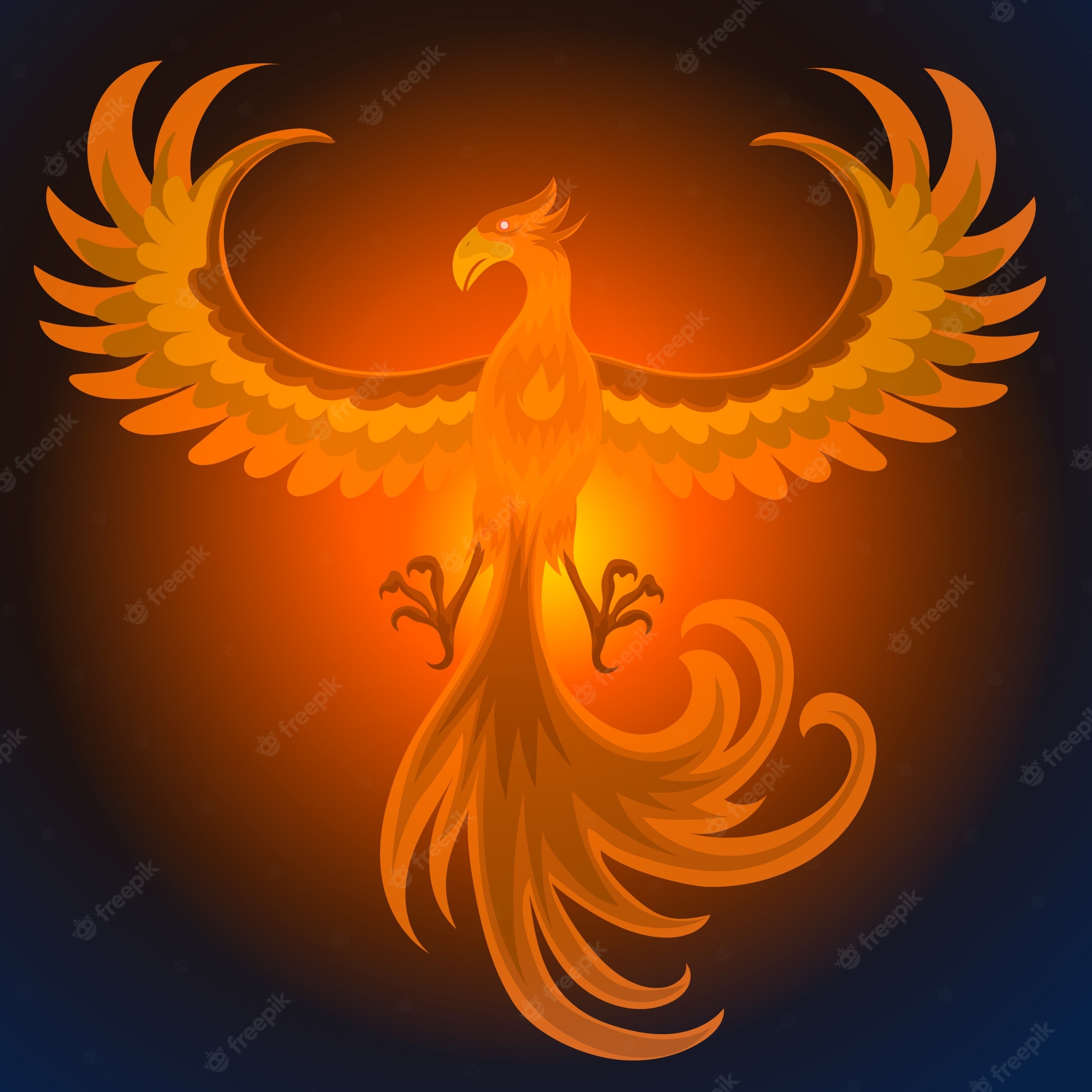 Phoenix Rising Image