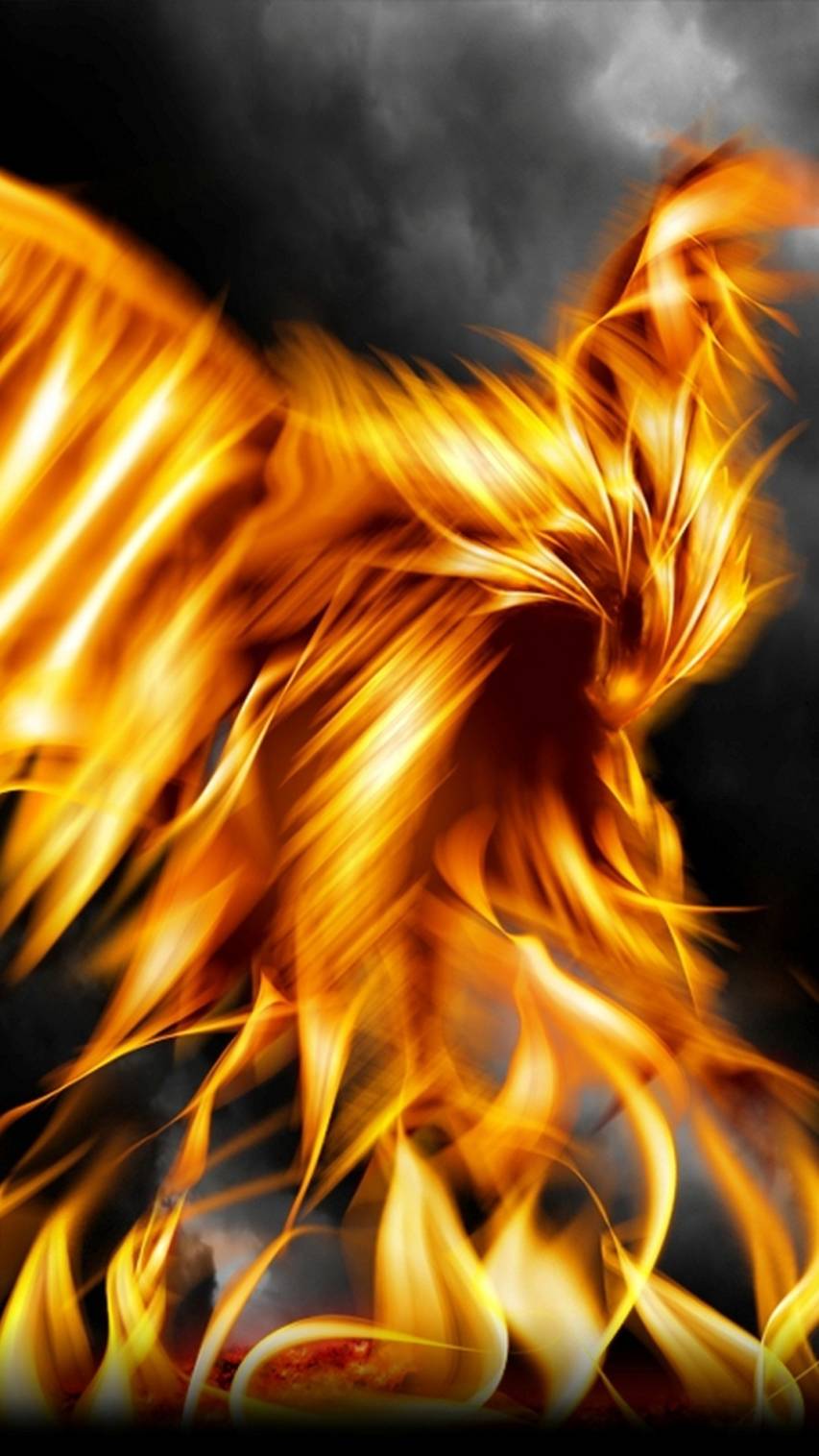 Phoenix Wallpaper and Background image Free Download