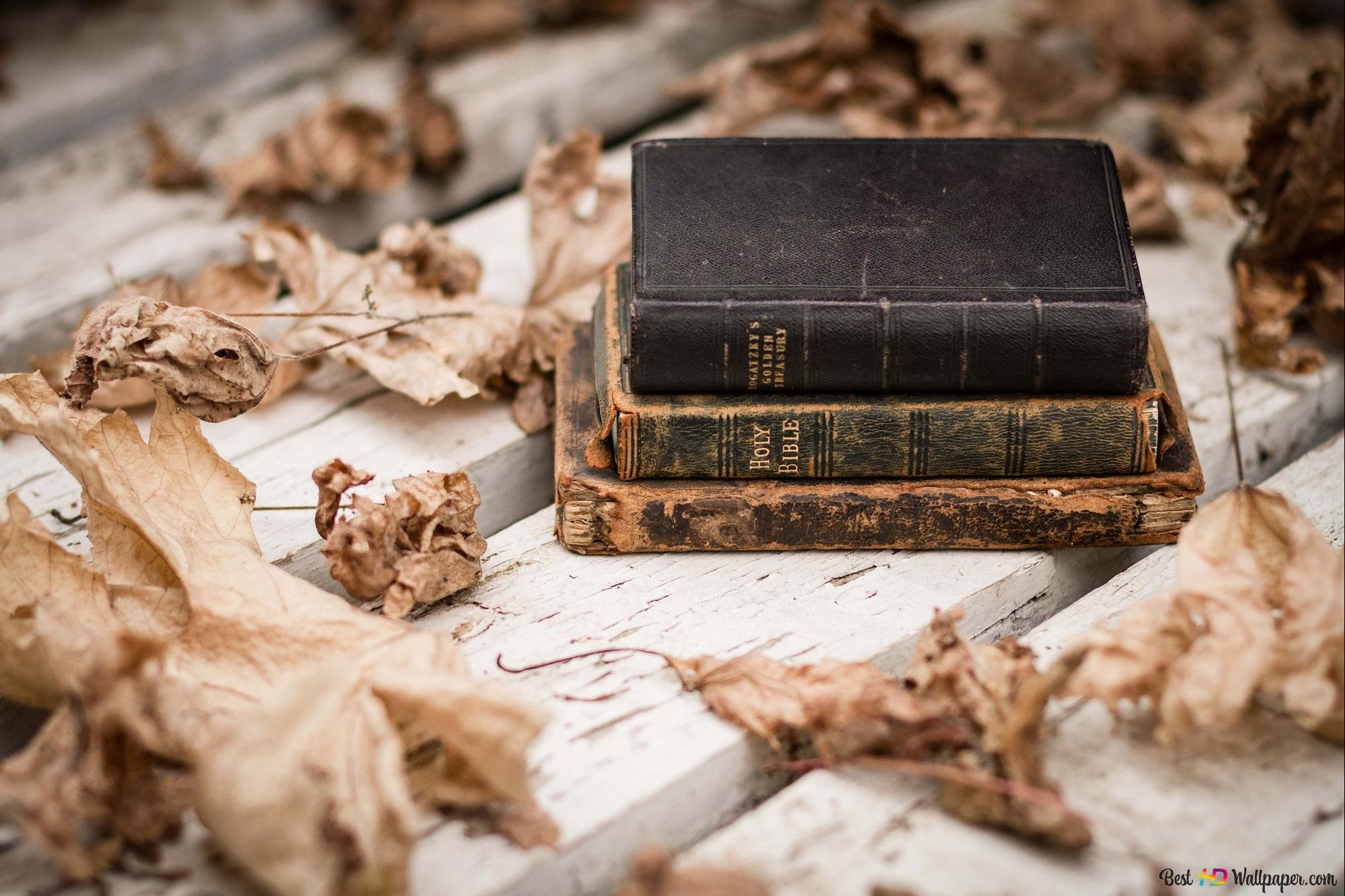 Autumn leaves and very old books 2K wallpaper download