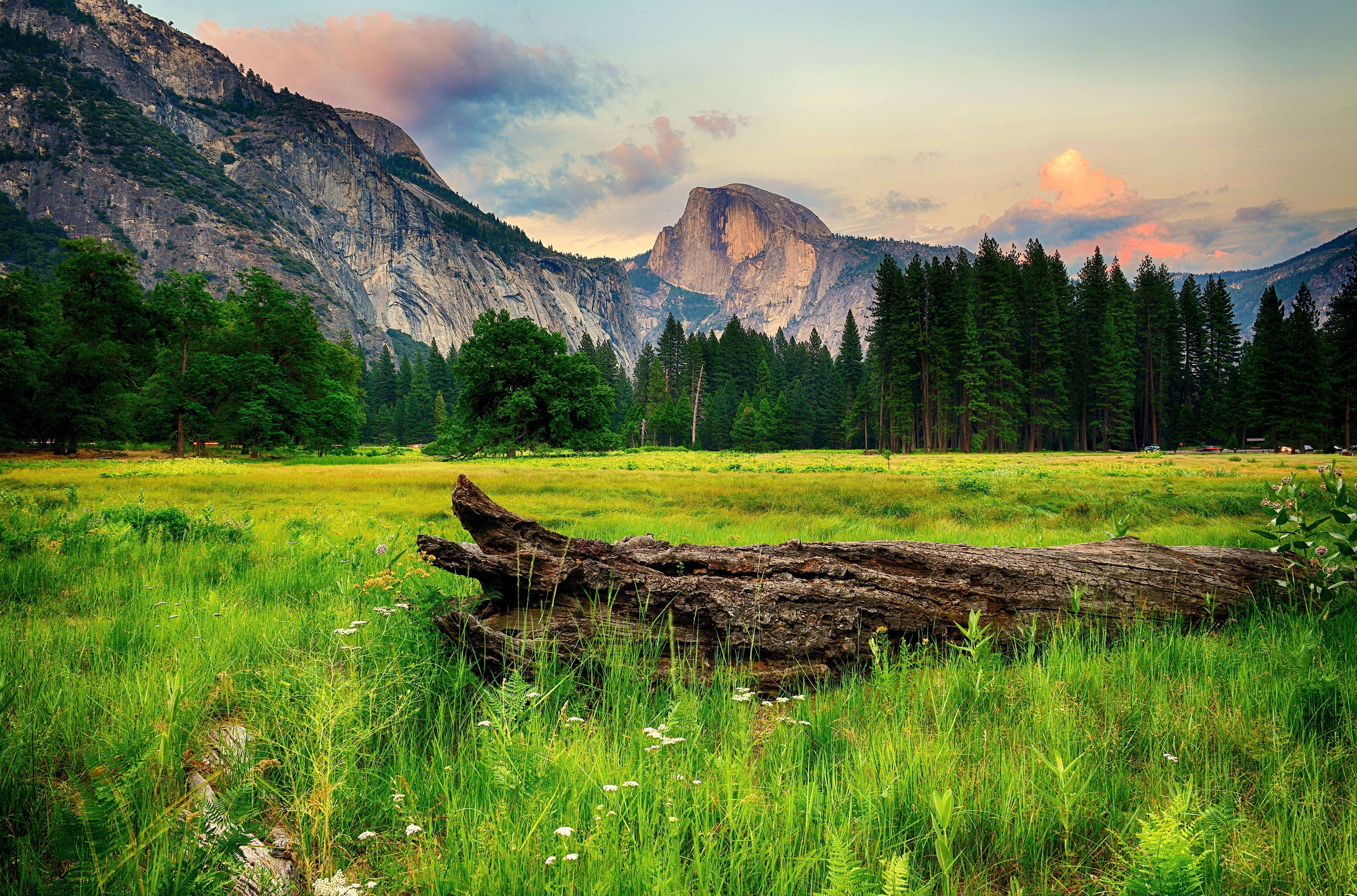 usa, Parks, Mountains, Forests, Scenery, Yosemite, Grass, Nature Wallpaper HD / Desktop and Mobile Background