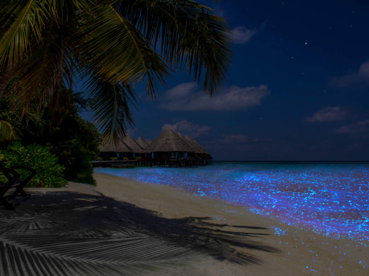 The gorgeous glowing beach of Maldives Travel