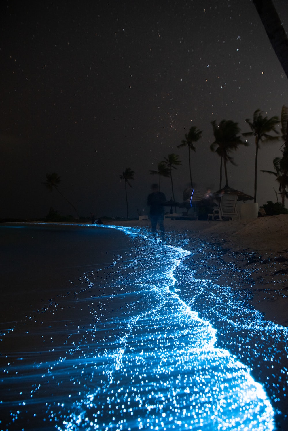 Bioluminescent Bay Puerto Rico Moon Calendar 2024