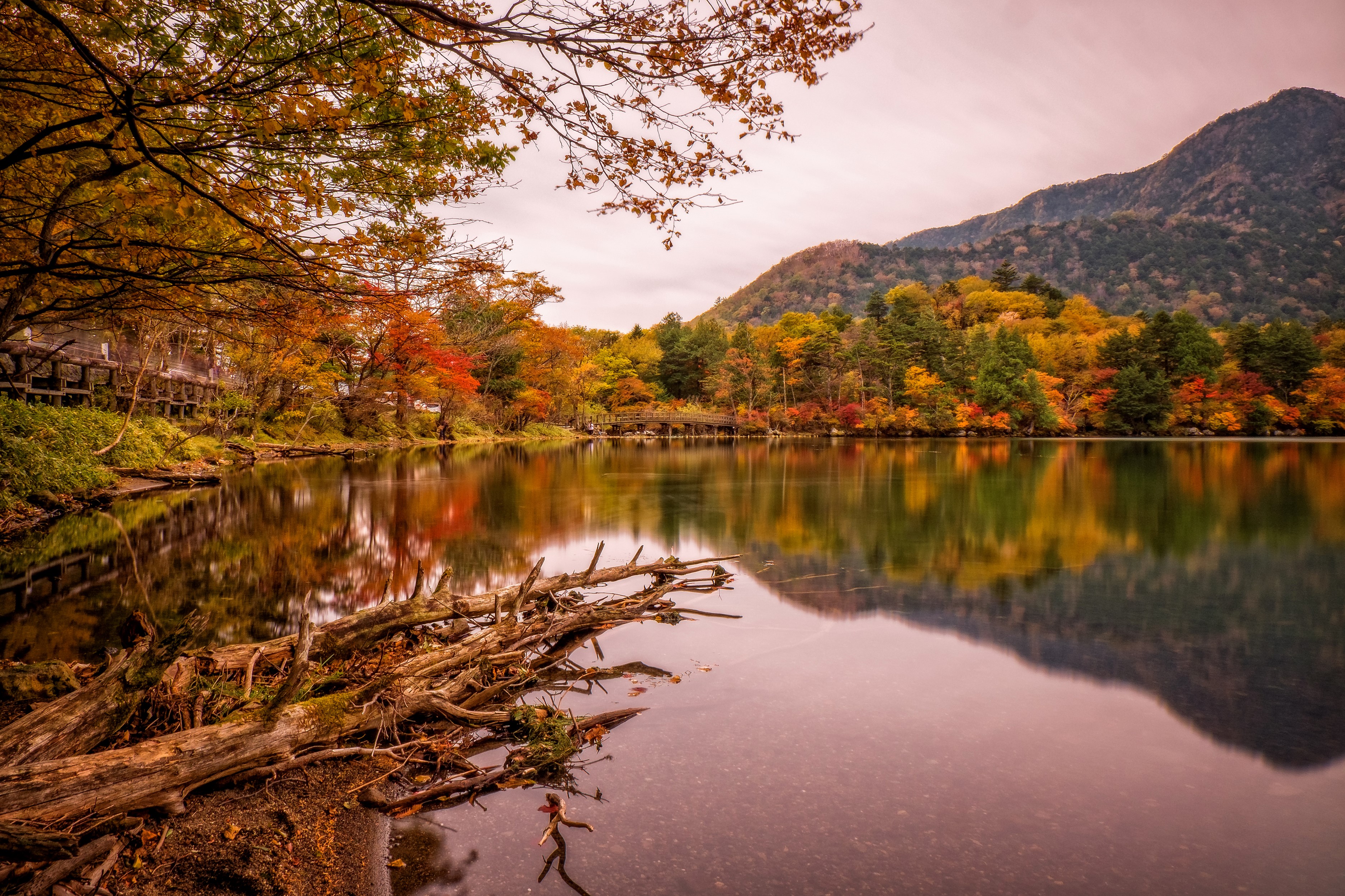 Nikko, Japan, Parks, Pond, Autumn, Trees Gallery HD Wallpaper