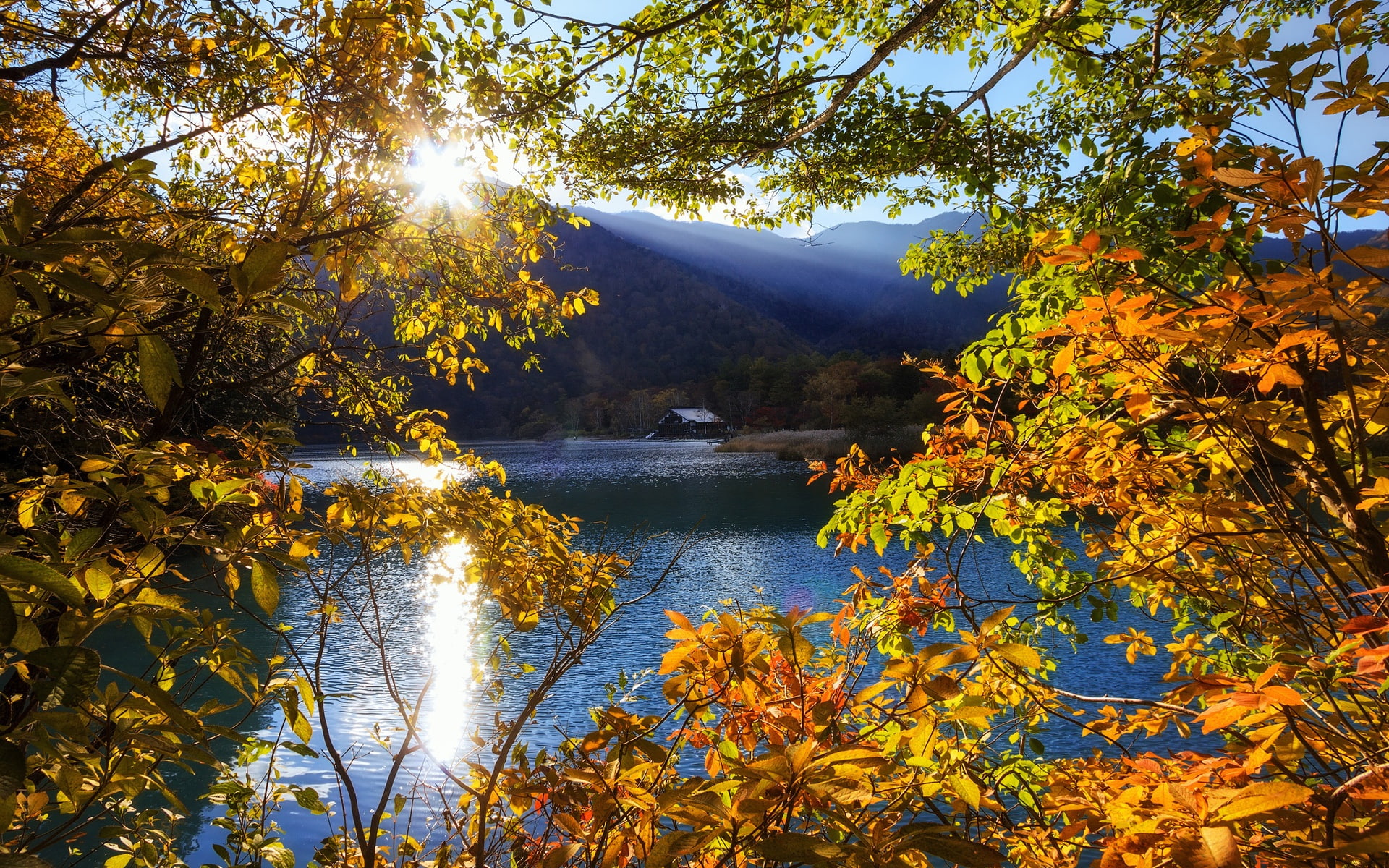 Wallpaper / Trees, tochigi, 1080P, Autumn, Japan, Sun, nikko, Rays, Mountain, Lake free download