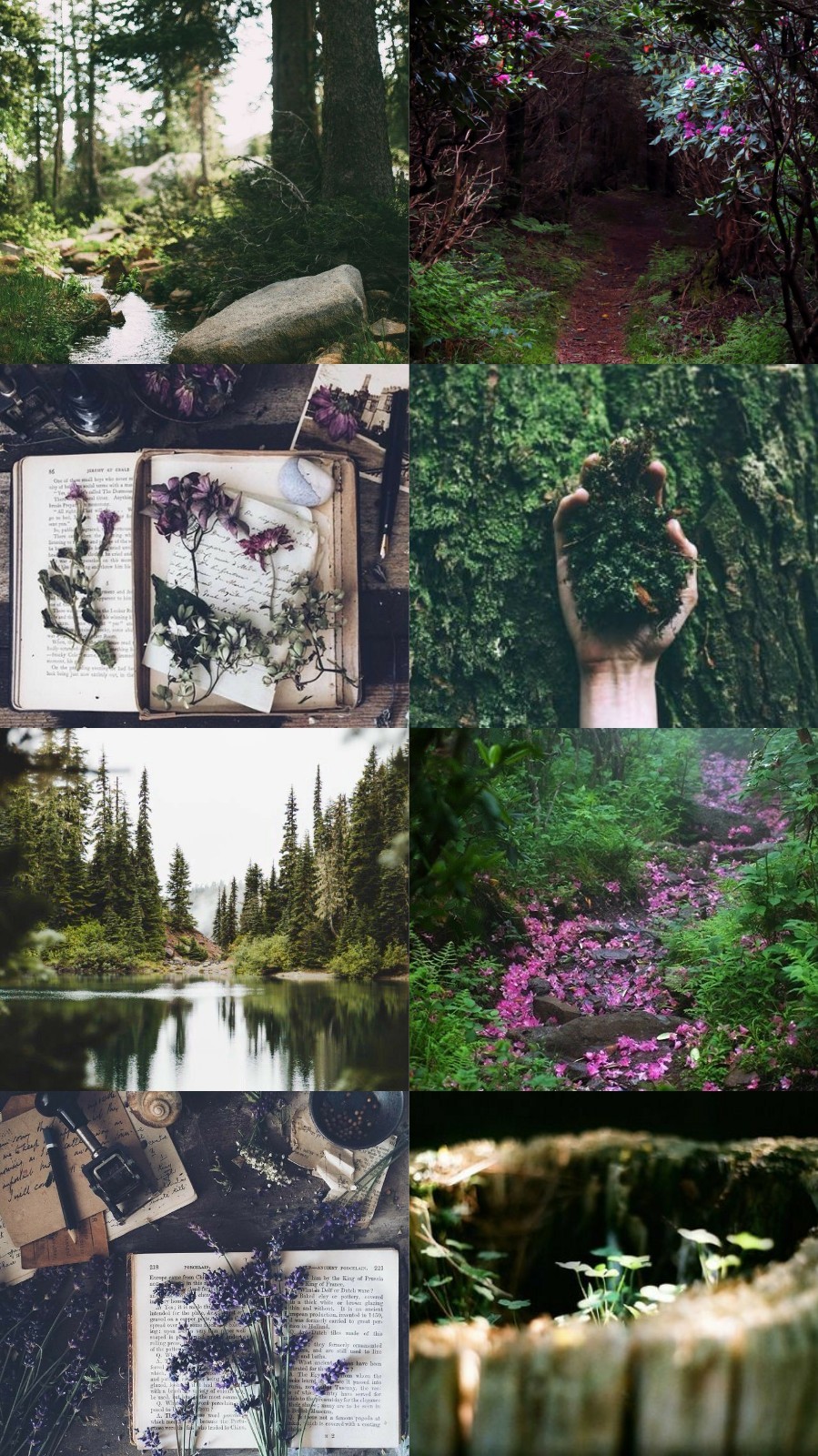 Aesthetic Wallpaper: Photo