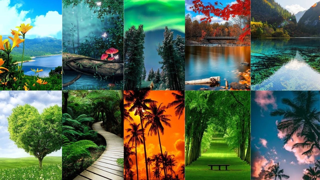 Nature Collage Wallpapers - Wallpaper Cave