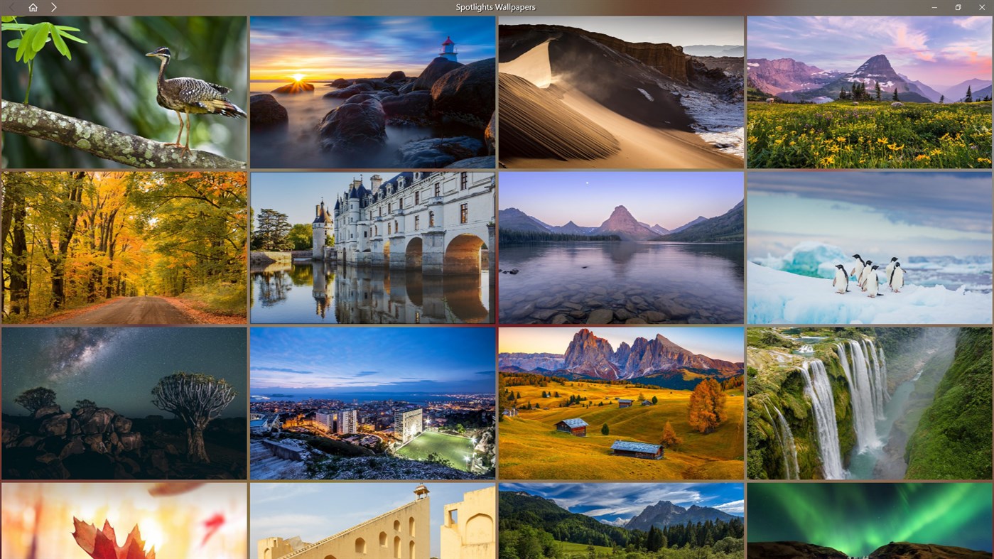 SPOTLIGHTS WALLPAPERS by 665Apps - (Windows Apps)