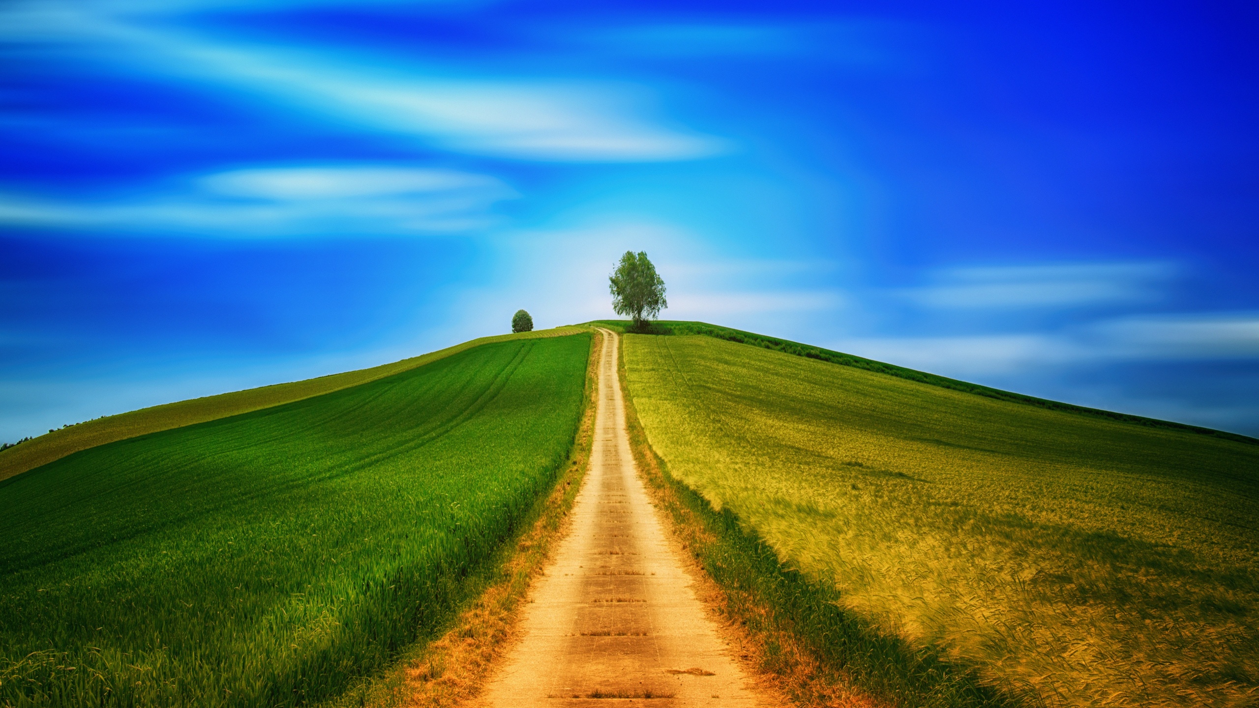 Landscape Wallpaper 4K, Green, Path, Nature