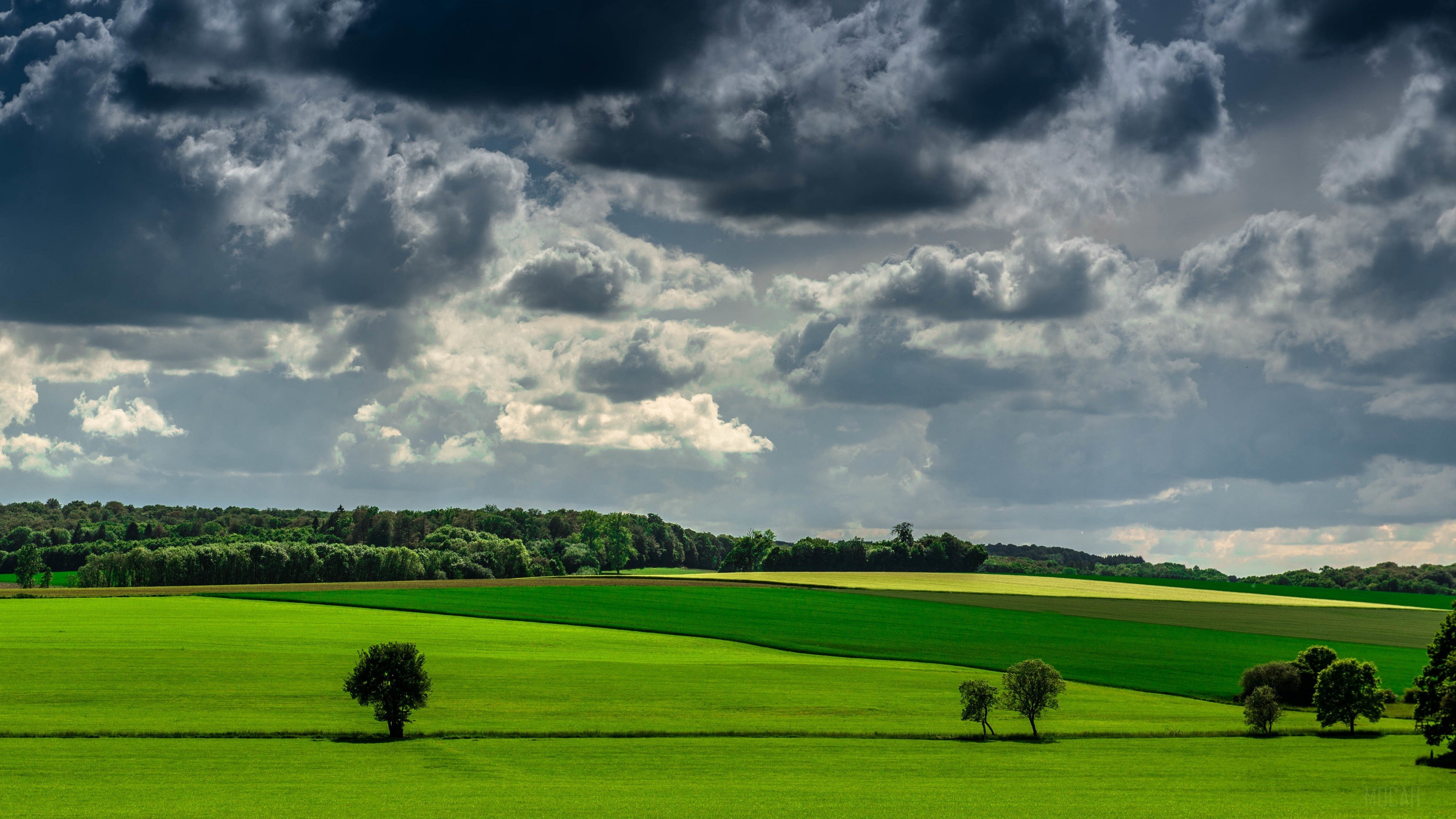 Cloud, Field, Landscape, Nature, Summer 4k Gallery HD Wallpaper