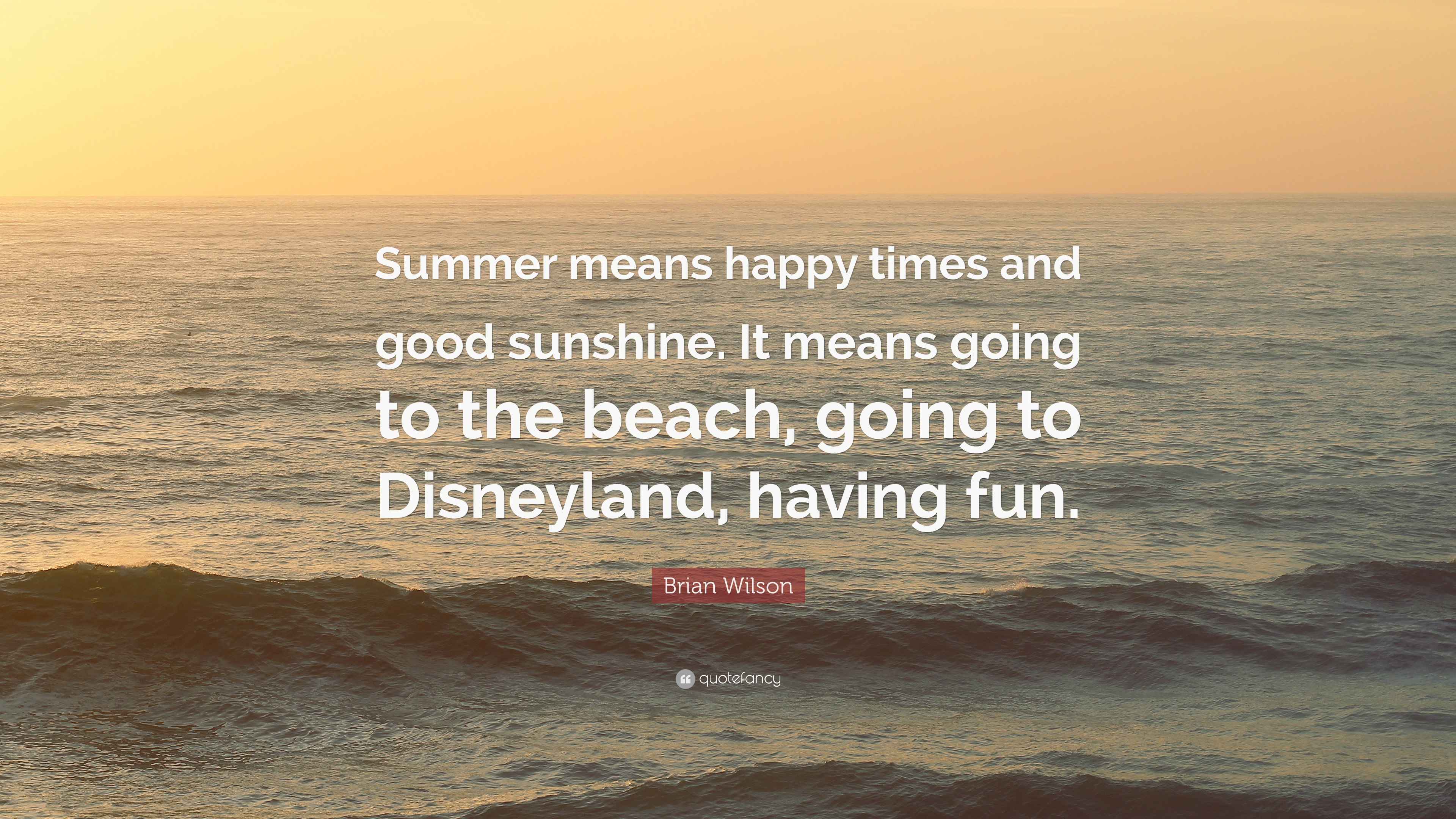 Brian Wilson Quote: “Summer means happy times and good sunshine. It means going to the beach