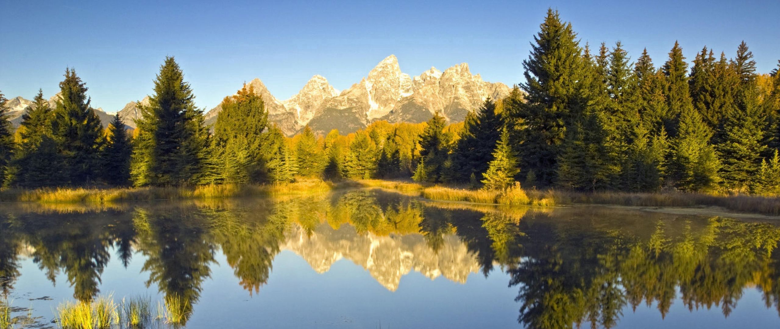 Download wallpaper 2560x1080 summer, trees, beach, river dual wide 1080p HD background