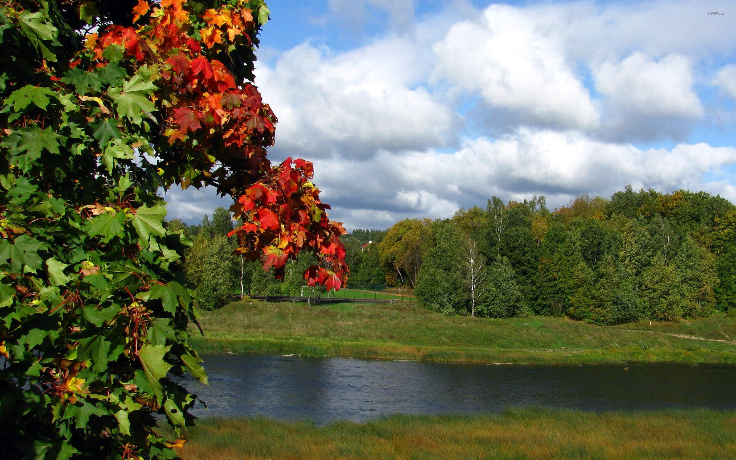 Summer day by the river wallpaper wallpaper