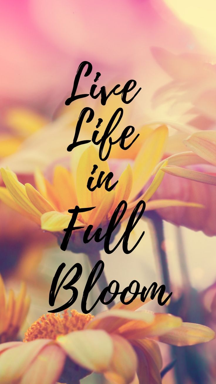 Positivity Boost iPhone Wallpaper Collection