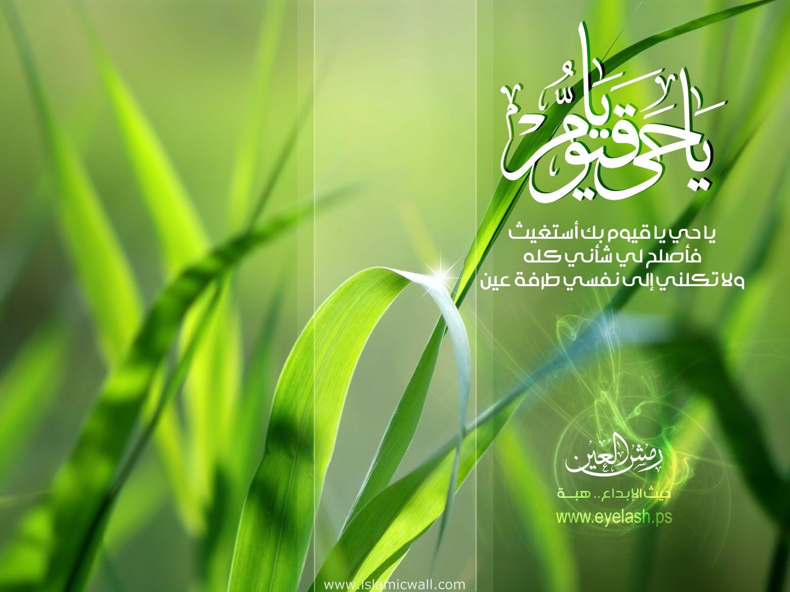 Free download imageofthe blog Islamic HD green wallpaper [1600x1200] for your Desktop, Mobile & Tablet. Explore Islamic Wallpaper HD White Background. Islamic Background, Islamic Image Wallpaper HD, HD Islamic Wallpaper