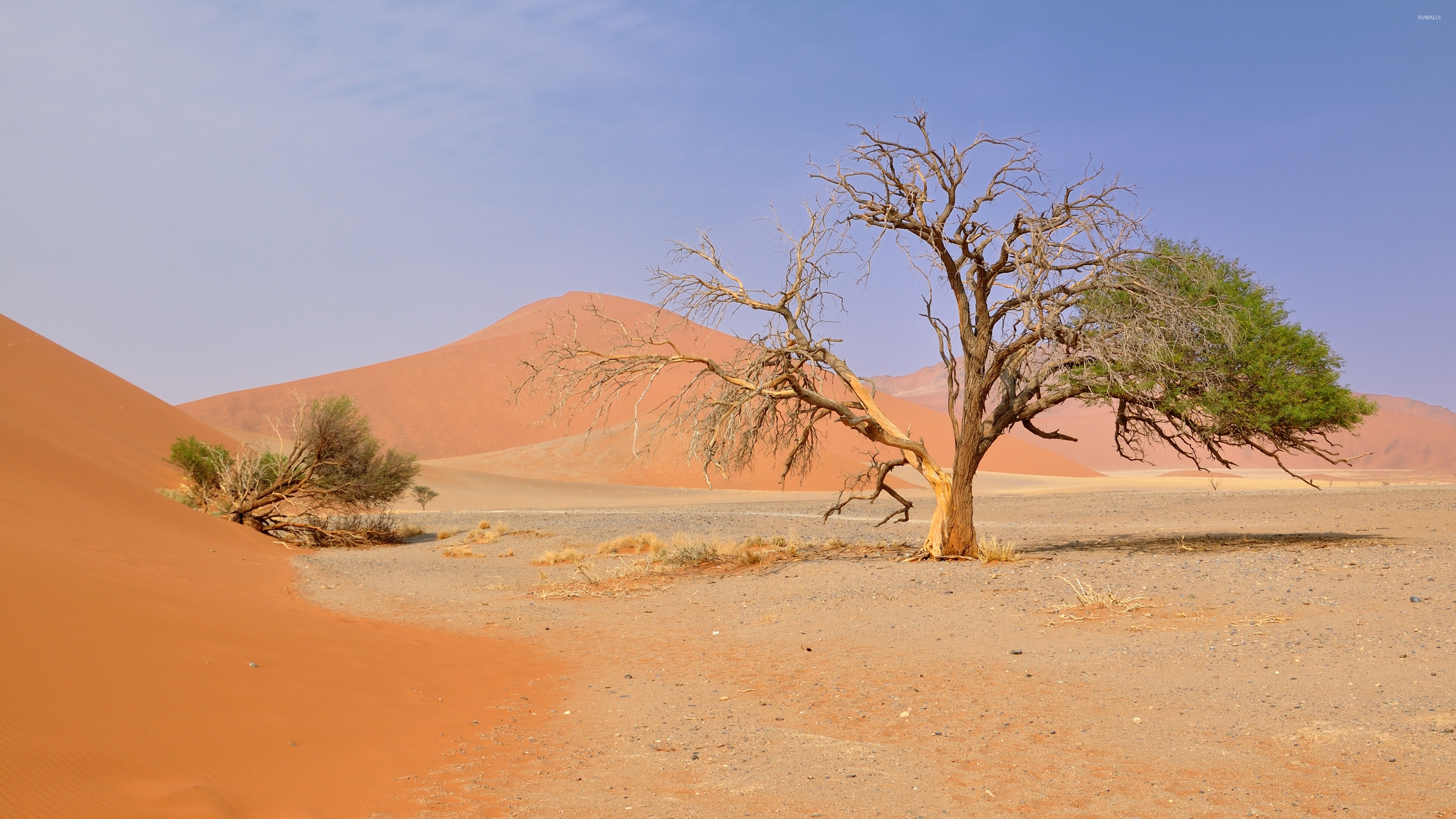 Namib Desert wallpaper wallpaper
