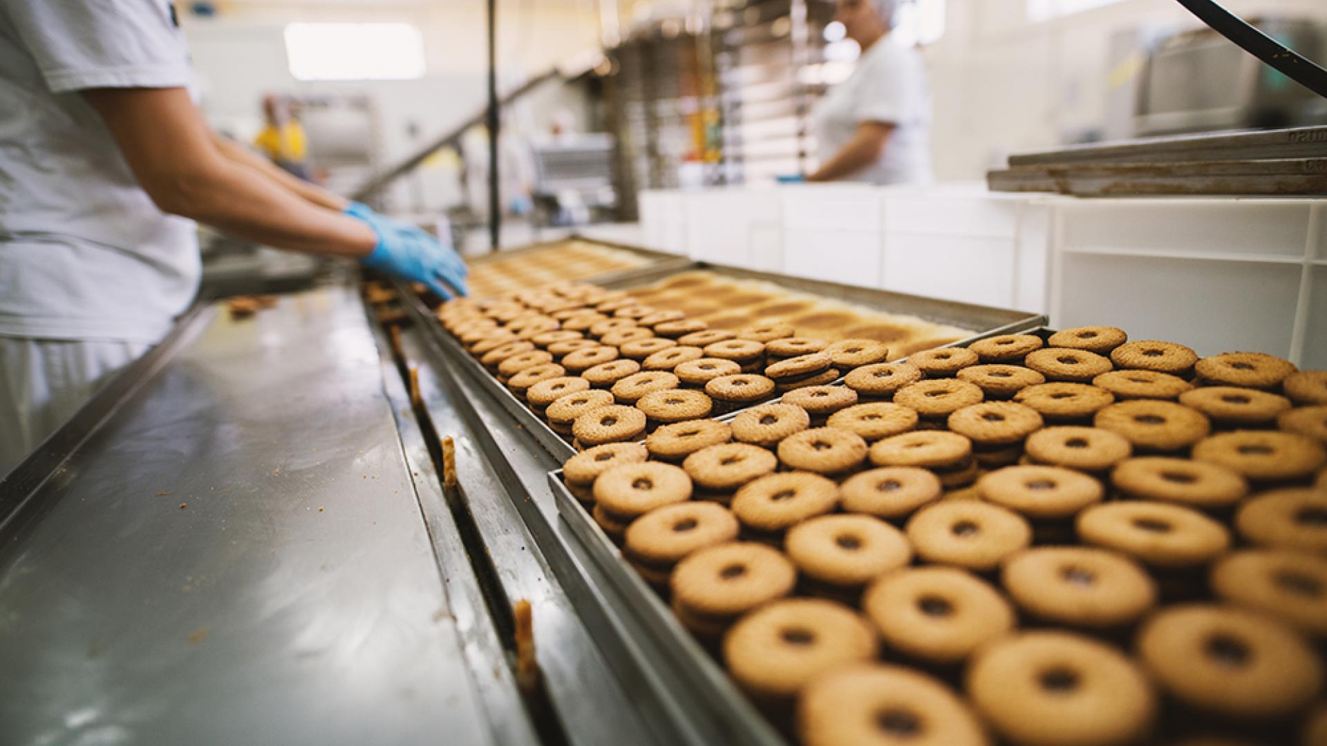 Project to optimize food plant worker safety, product supply