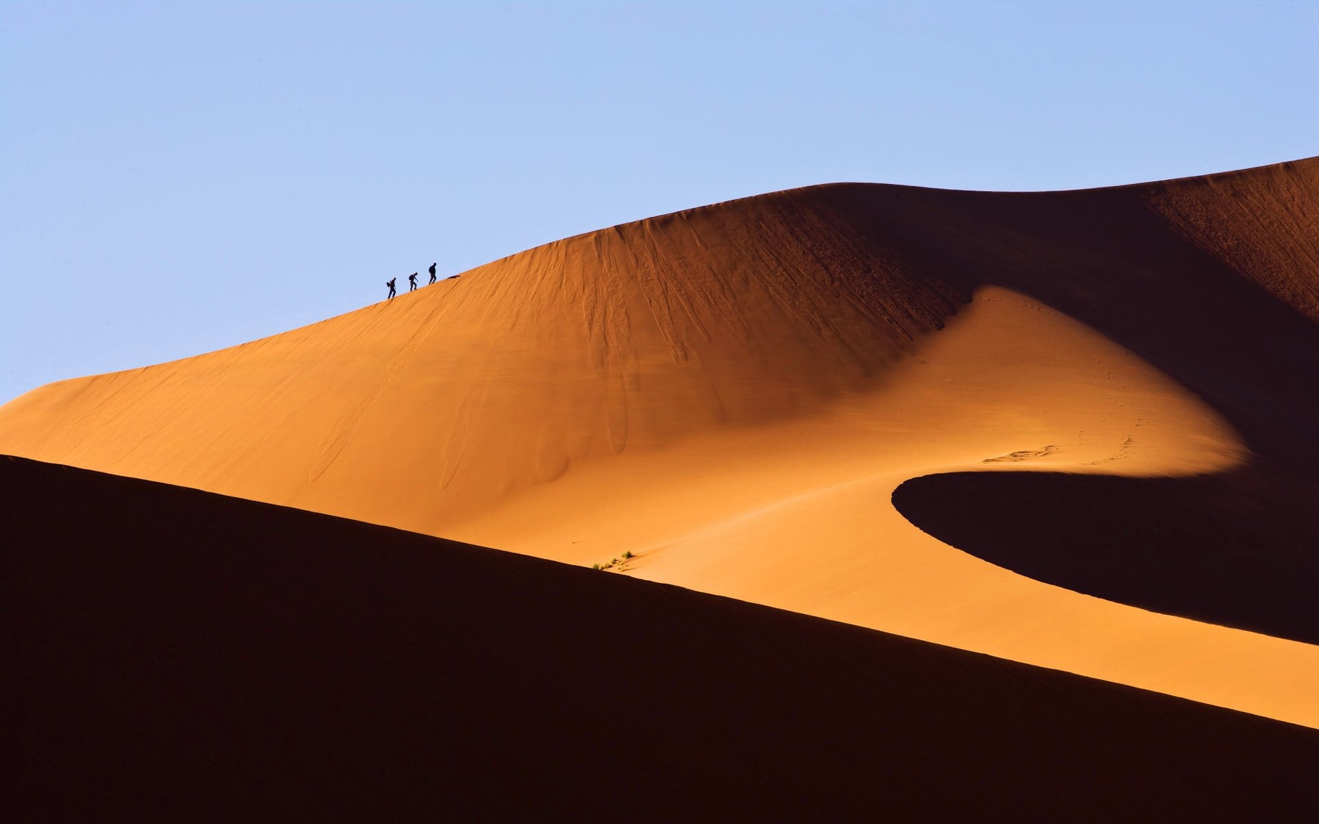Namibia s Namib Desert Wallpaper