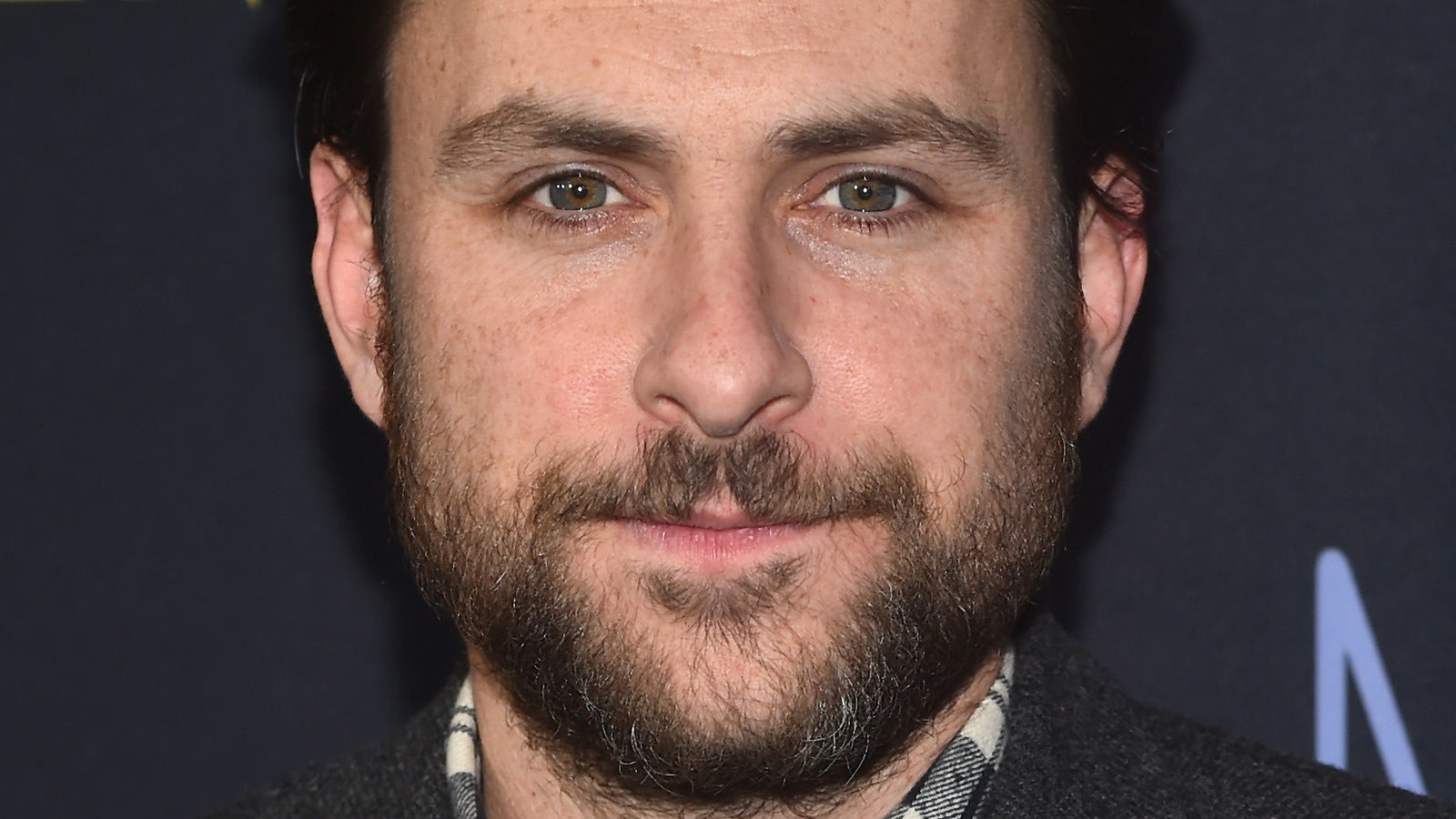 Sunny Charlie Day Facts