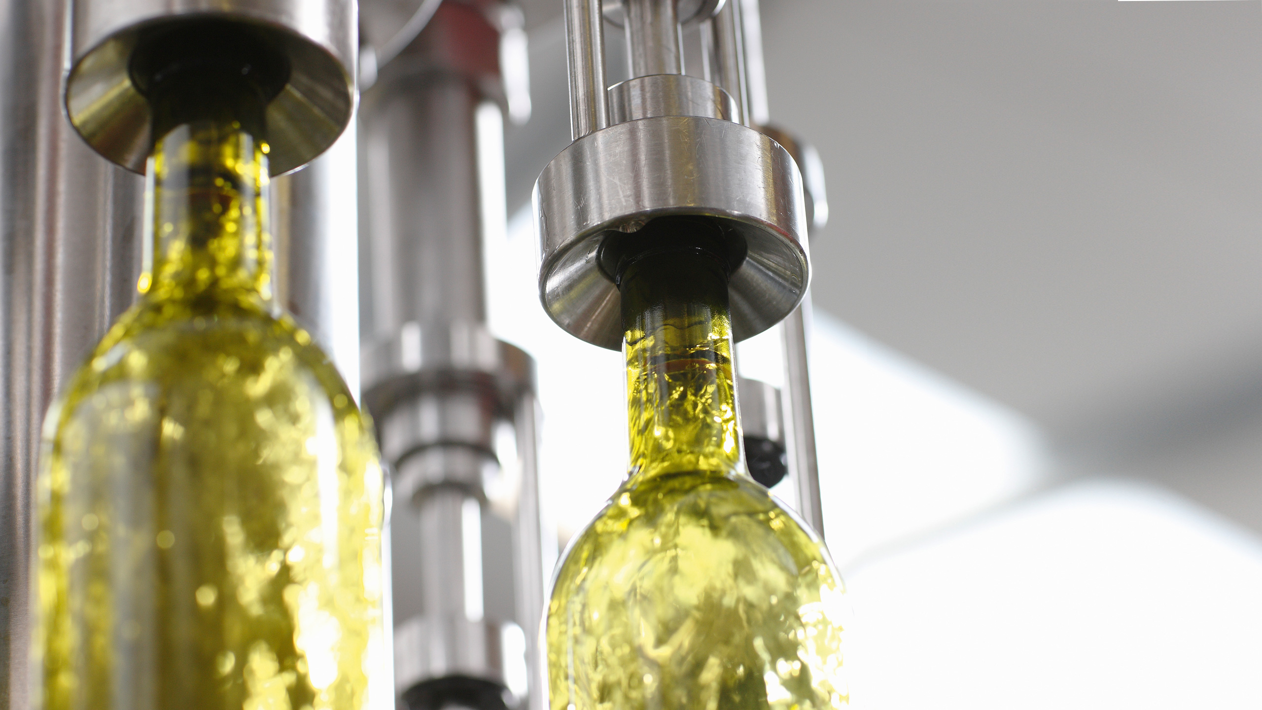 Food and Beverage Industry. PureMedion Ltd