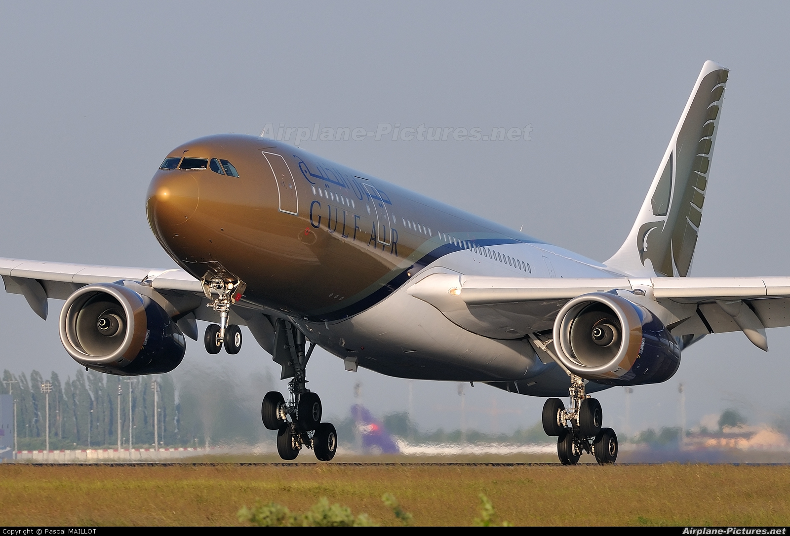 The best Gulf Air Photo