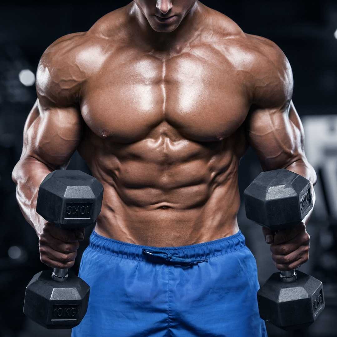 The Ultimate Back And Chest Workout FOR SET