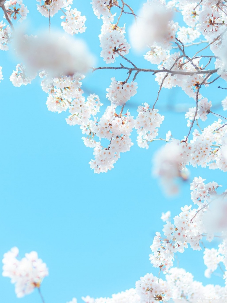 Spring Sky Wallpapers - Wallpaper Cave