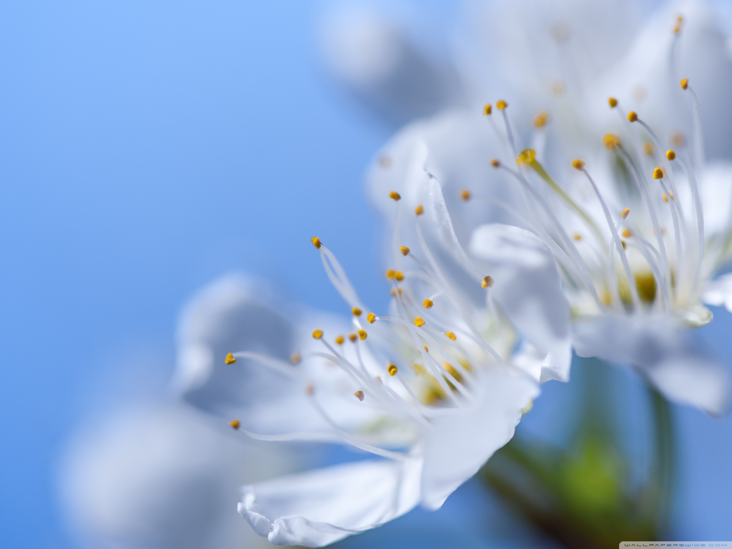 Spring Sky Wallpapers - Wallpaper Cave