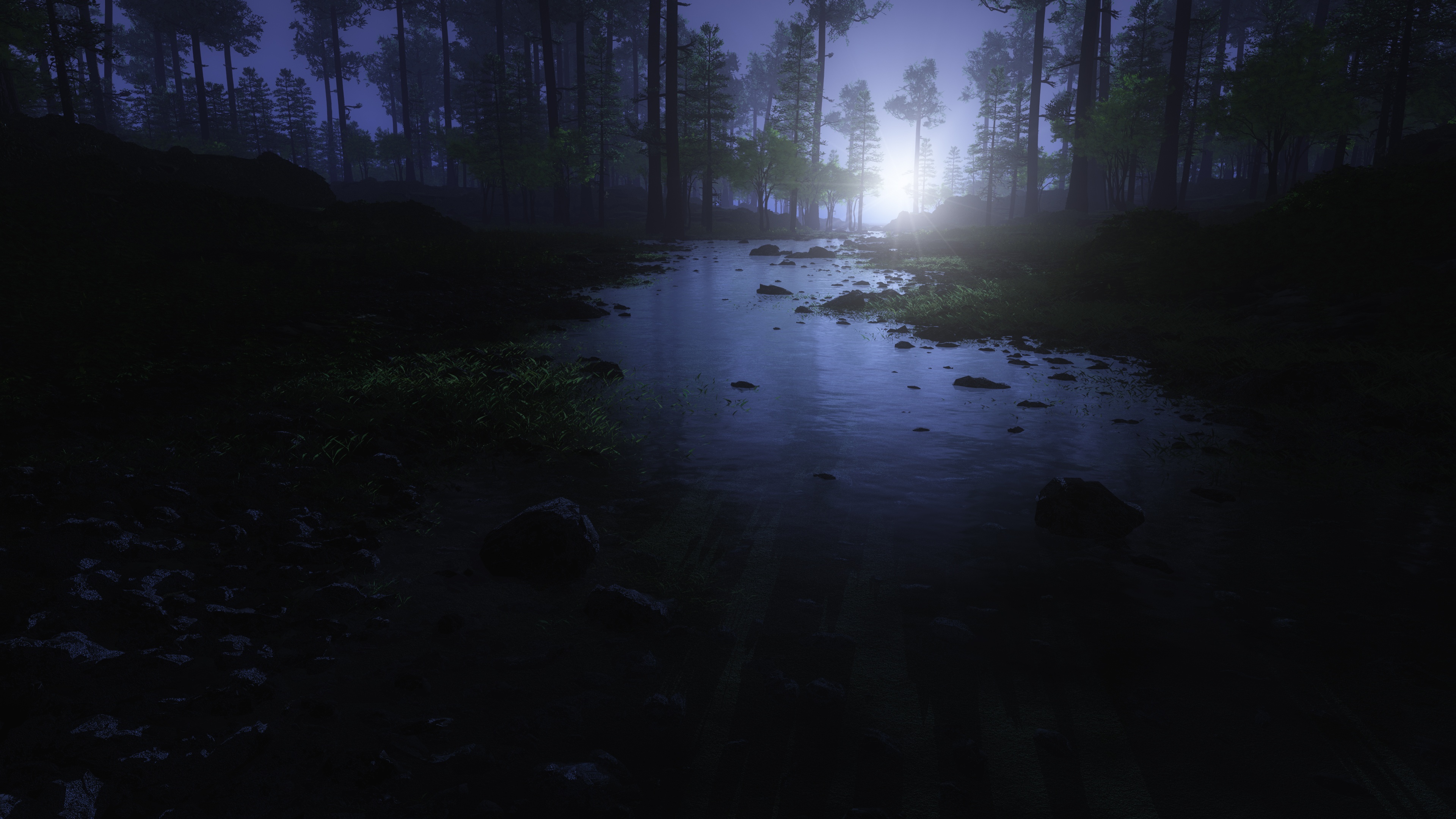 Dark Forest Wallpaper 4K, Water Stream, Trees, Nature