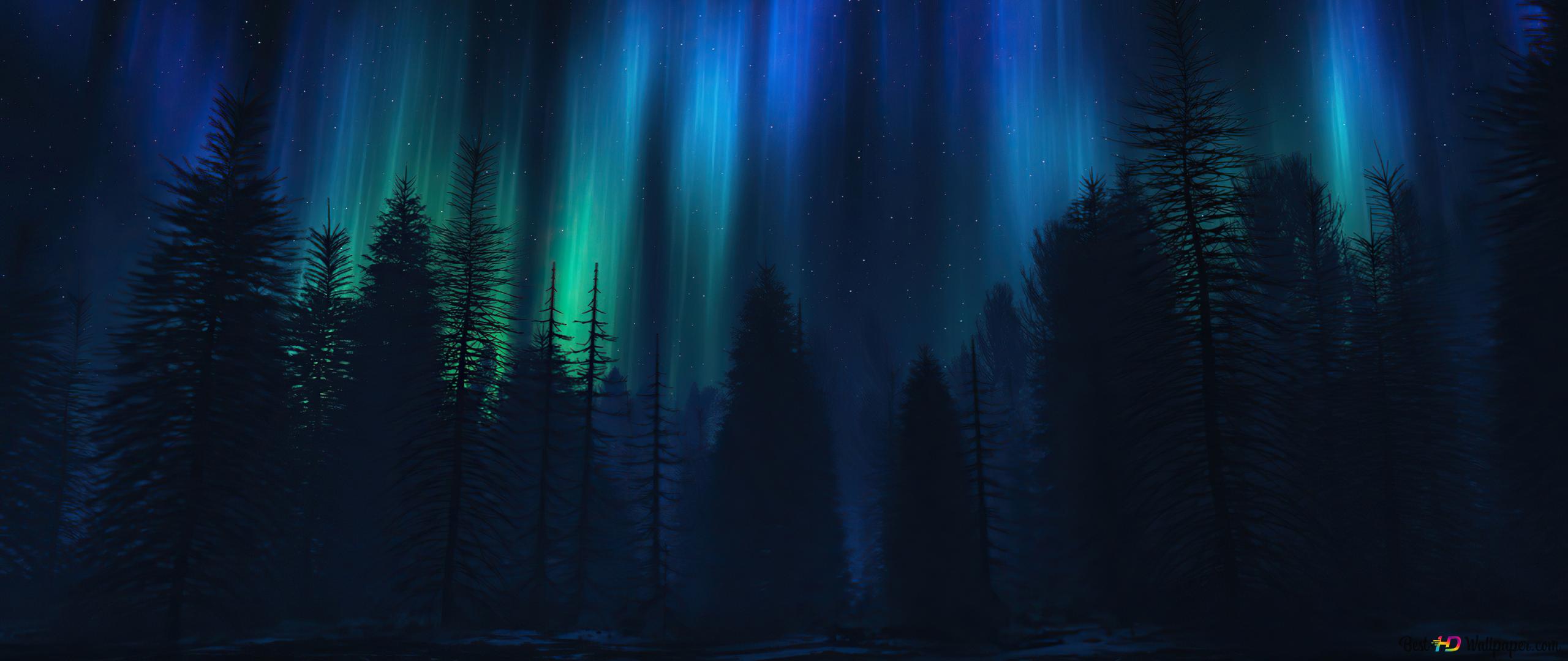 Nature Digital dark forest 4K wallpaper download