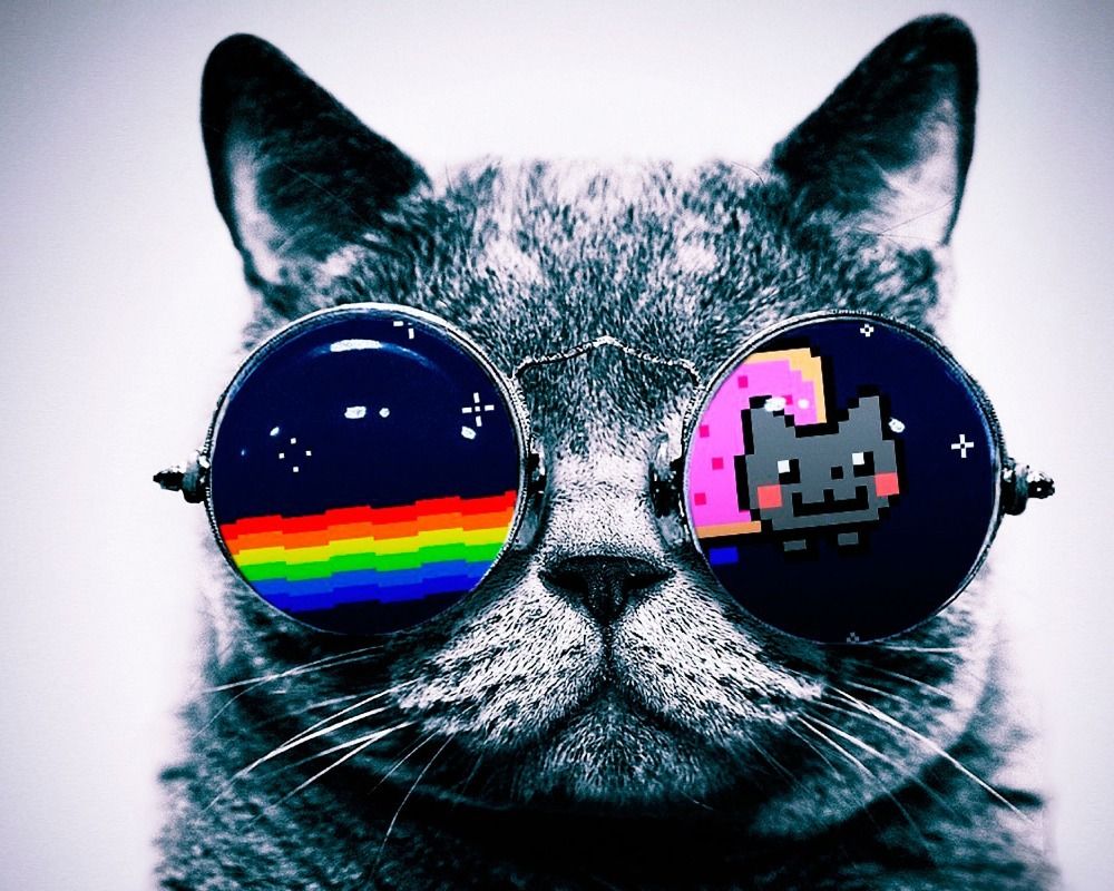 DJ Rave Chessboard Game. Nyan cat, Cat wallpaper, Cool cats