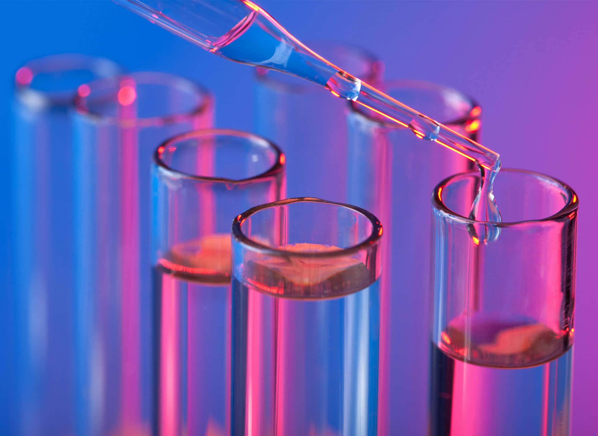 Download A Test Tube With A Liquid In It