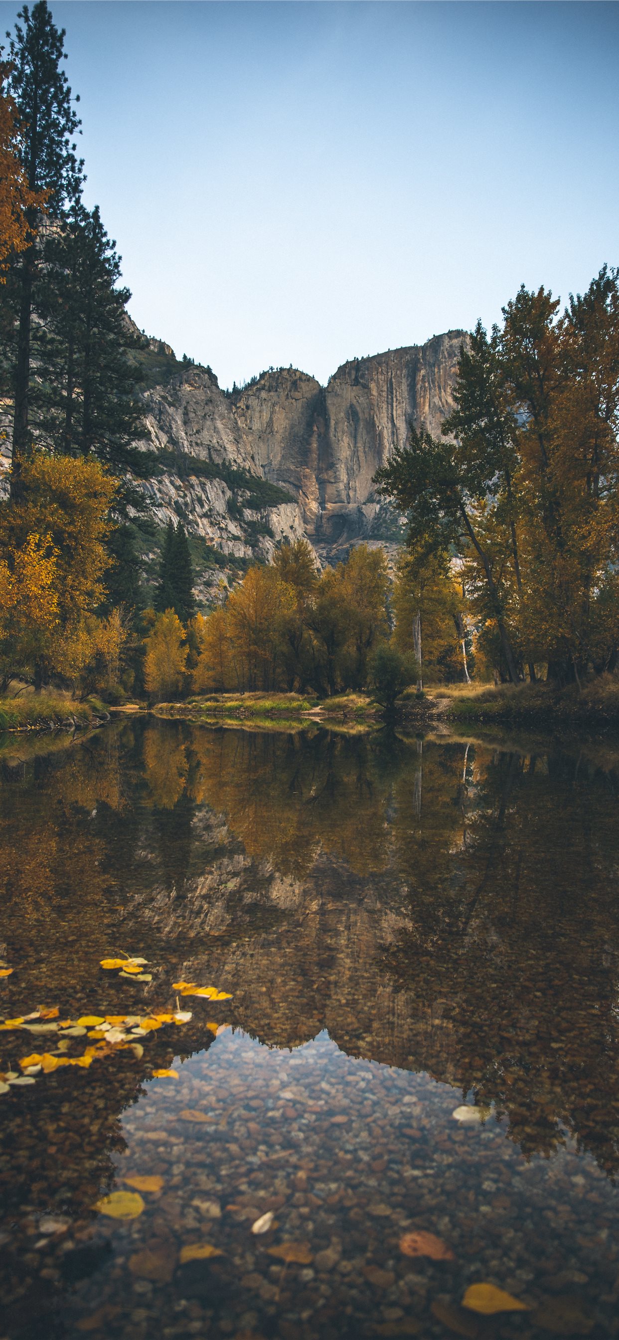 landscape photography of lake surrounded with tree. iPhone X Wallpaper Free Download