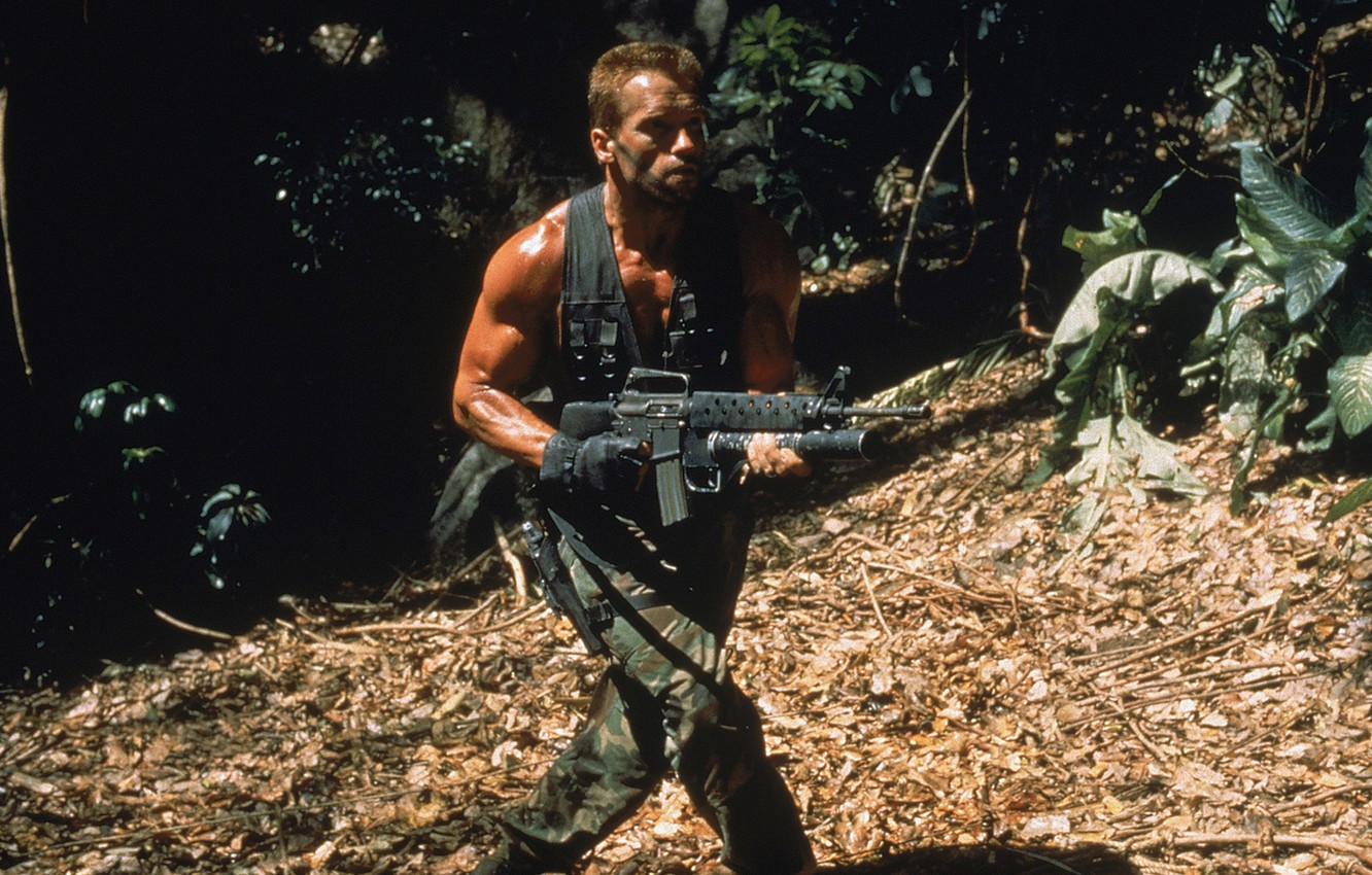 Wallpaper man, jungle, soldiers, actor, Predator, Predator, Arnold Schwarzenegger, Arnold Schwarzenegger, Dutch image for desktop, section фильмы