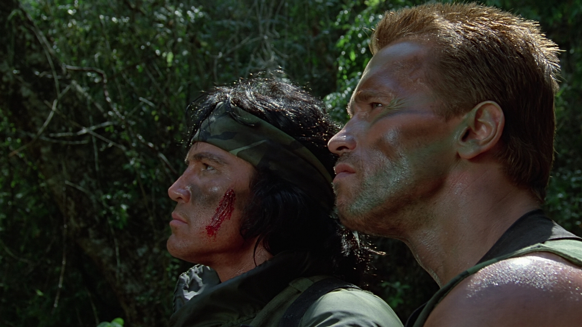 Predator HD Wallpaper and Background