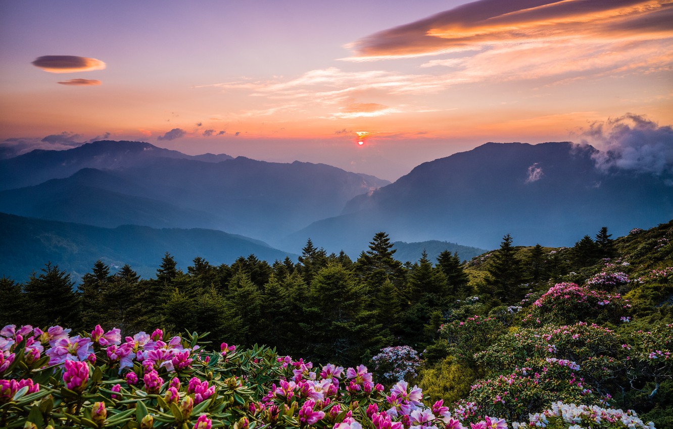 Beautiful Spring Sunset Wallpapers - Wallpaper Cave