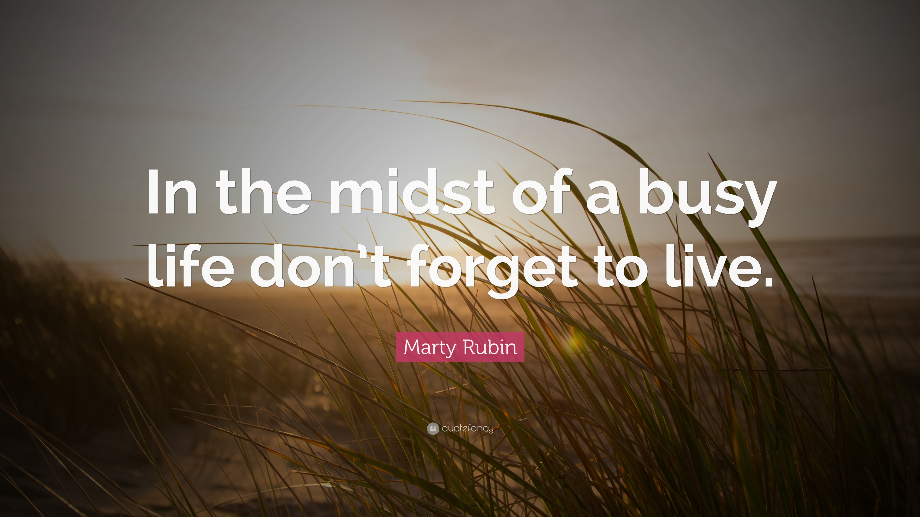 Marty Rubin Quote: “In the midst of a busy life don't forget to live.”