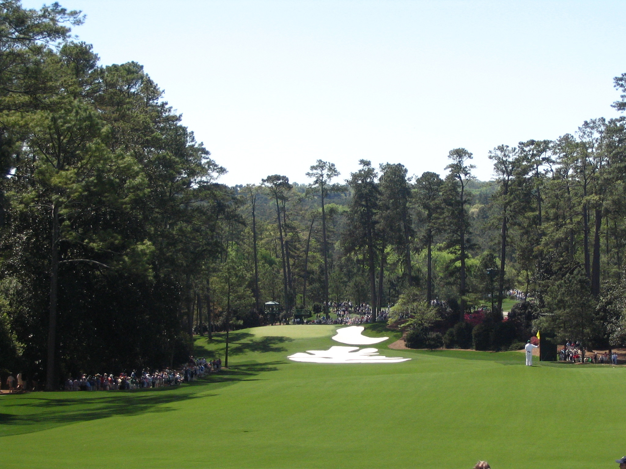 Wallpaper of Augusta National