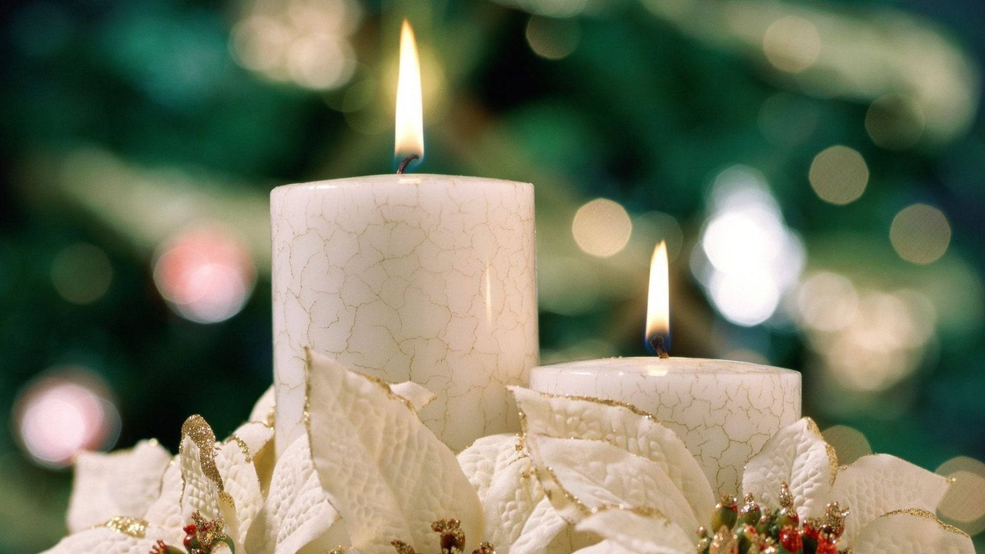 Download White Candles Wallpaper