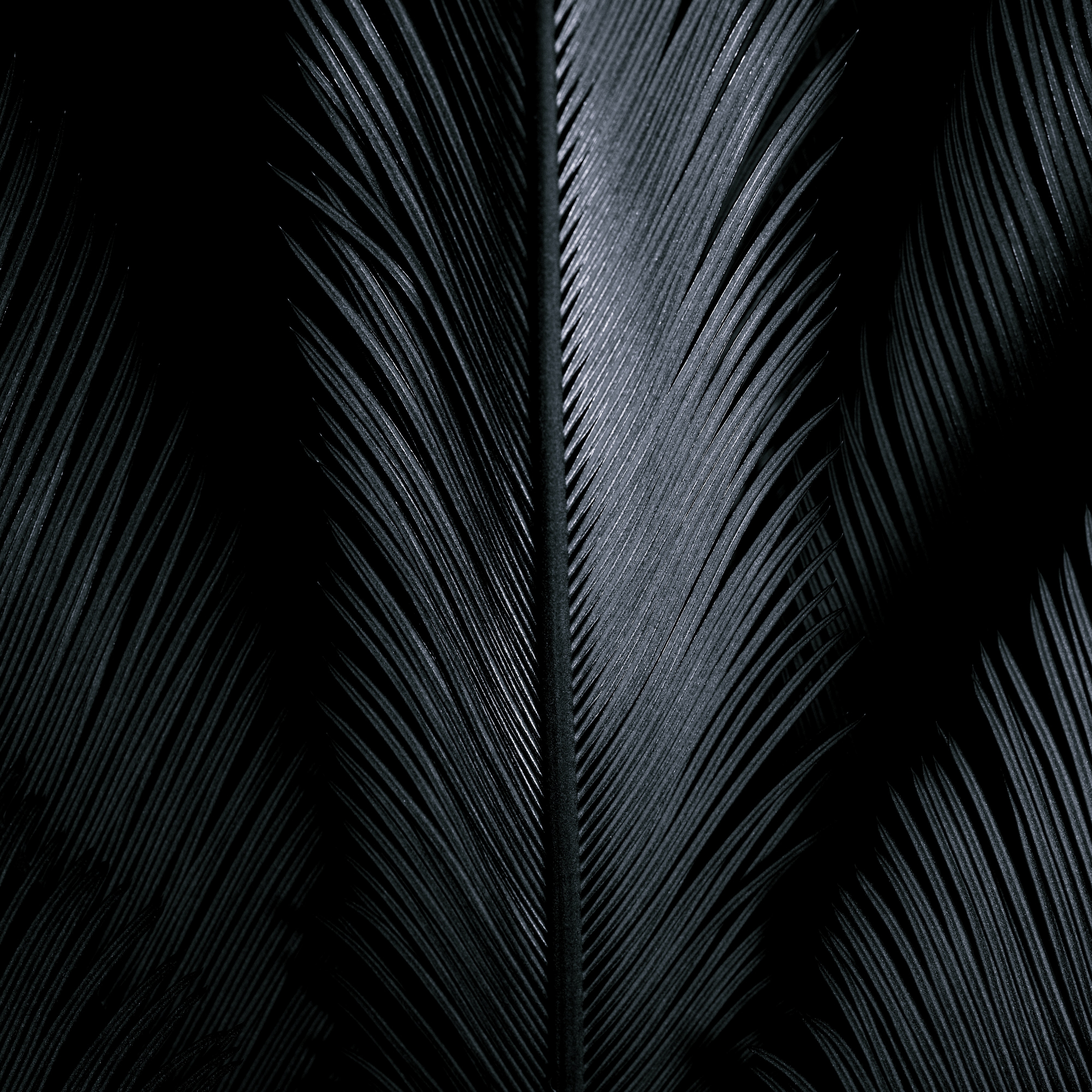 Black Texture Photo, Download The BEST Free Black Texture & HD Image