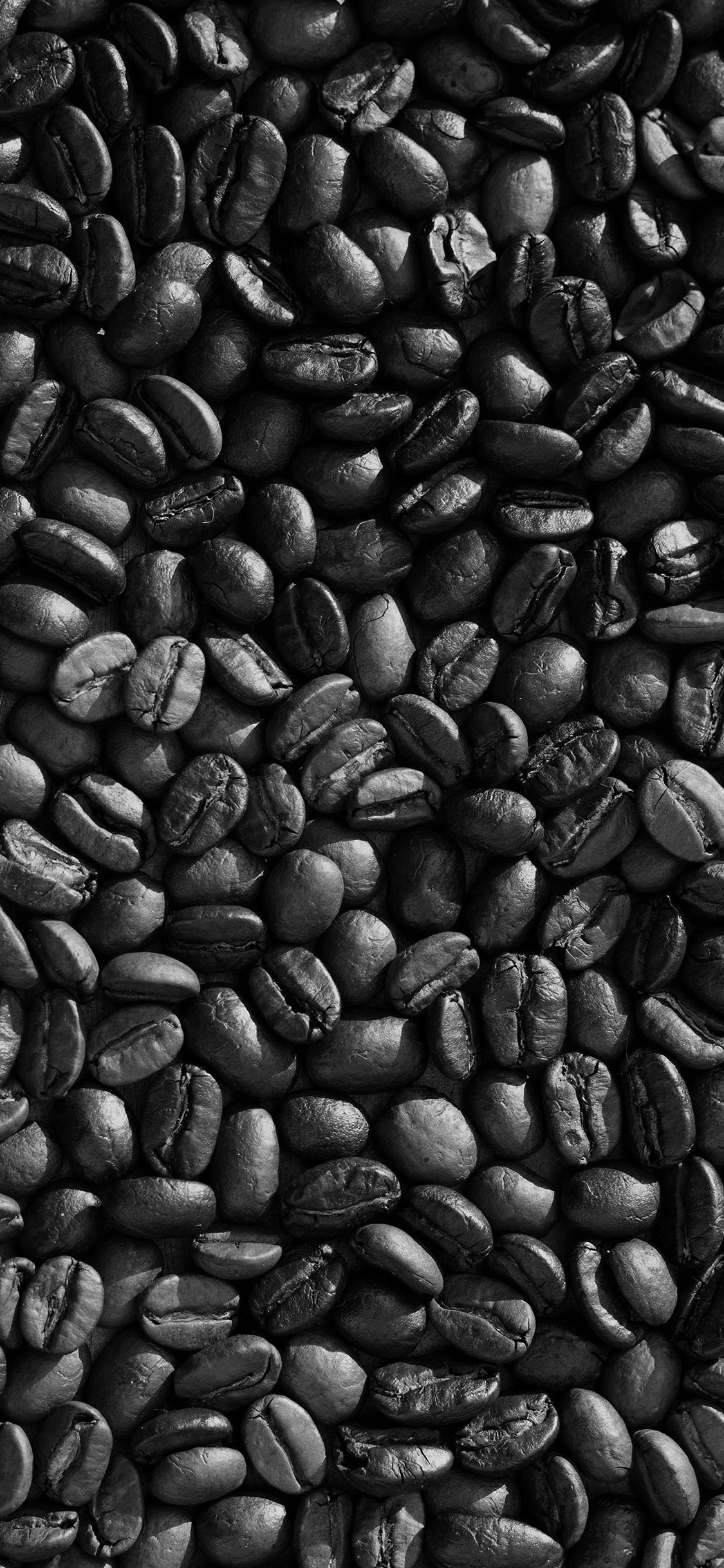 iPhone X wallpaper. coffee food brown eat nature drink life cafe bw dark