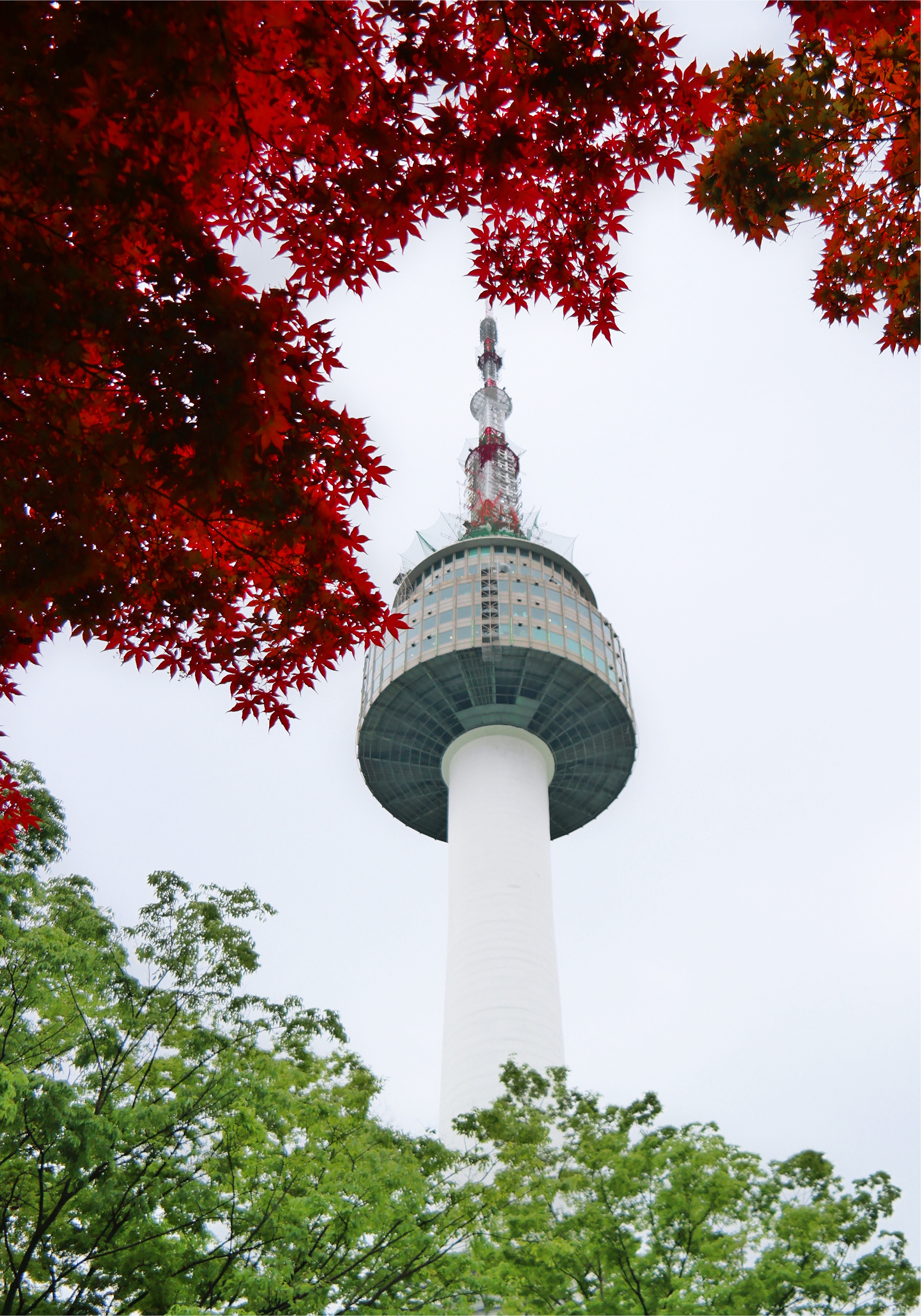 N Seoul Tower Photo, Download The BEST Free N Seoul Tower & HD Image