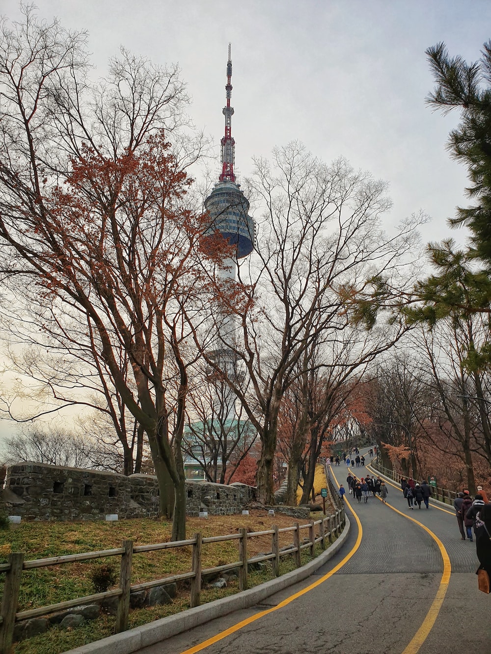 Seoul Tower Picture. Download Free Image