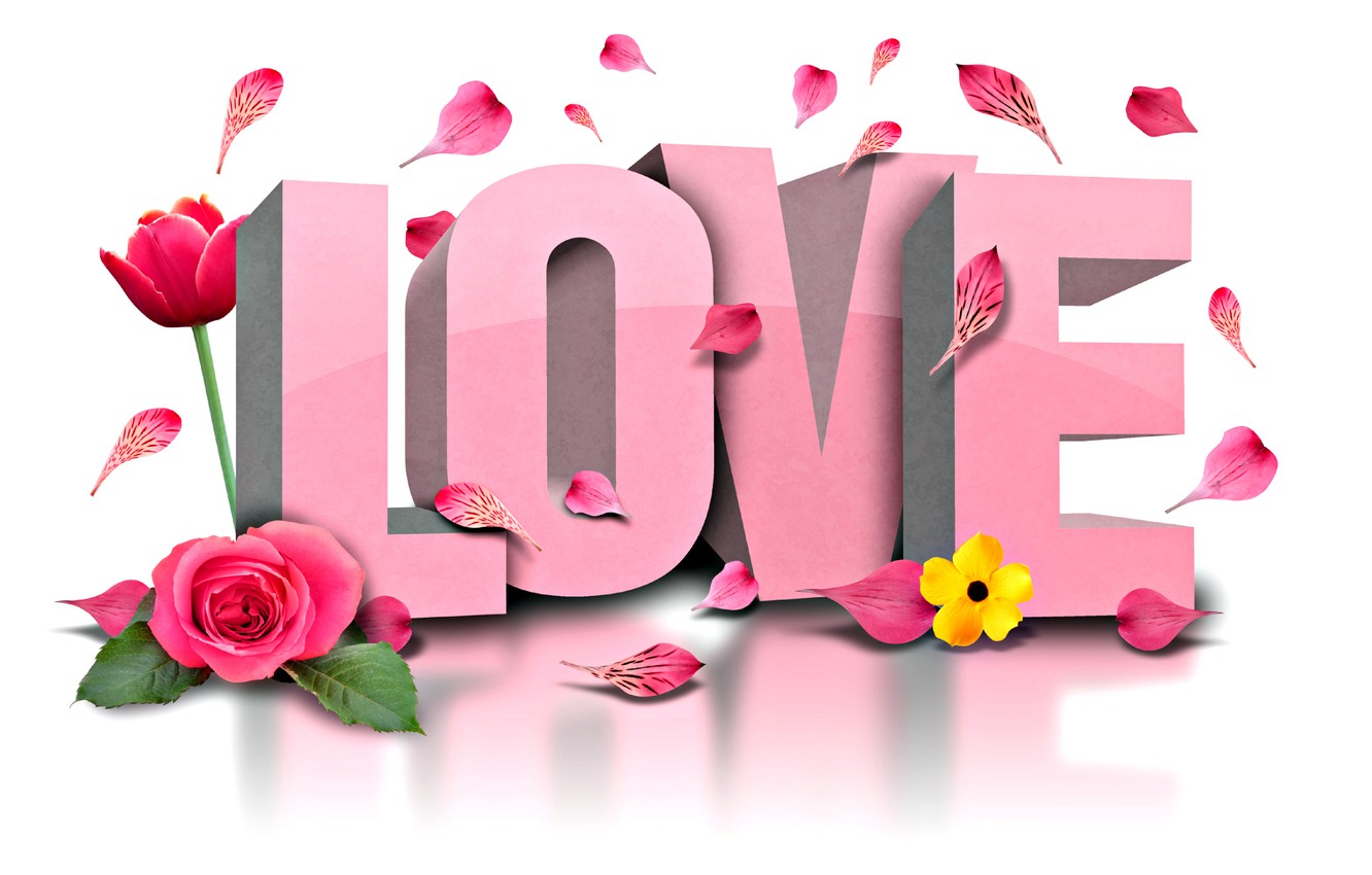Wonderful Love WallpaperFor any query email sa  Flower  images wallpapers Love flowers Love wallpaper