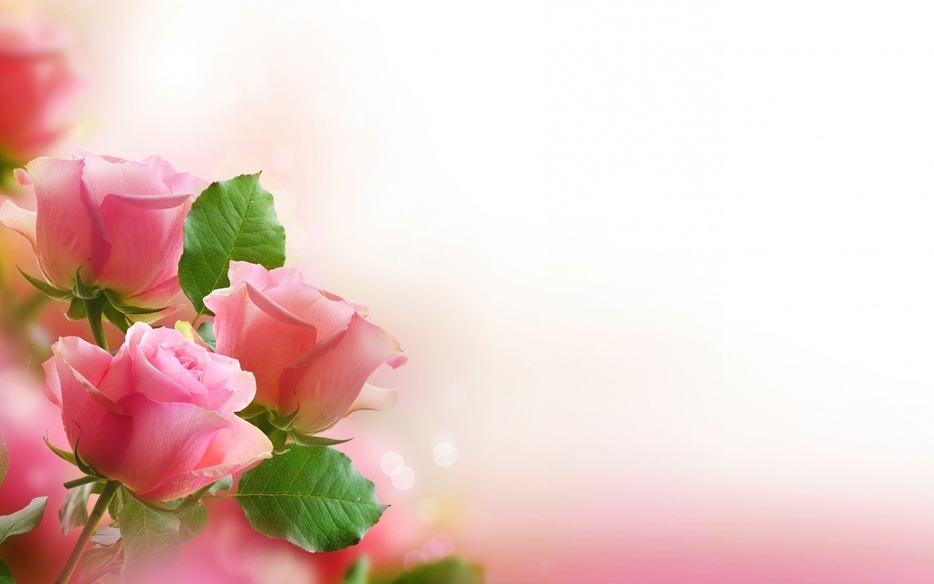 Love Flower Wallpaper