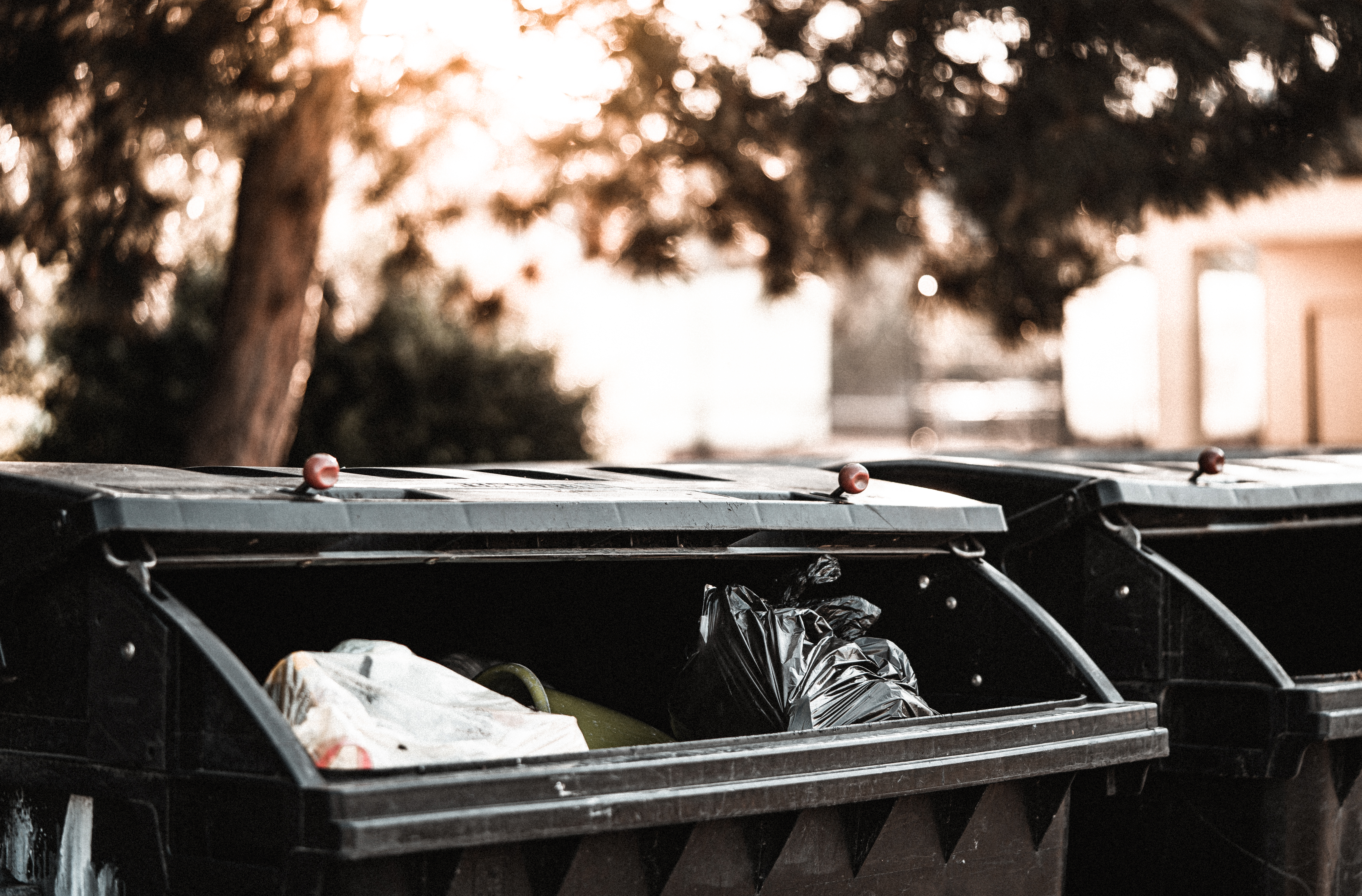 Trash Cans Free Photo and Image