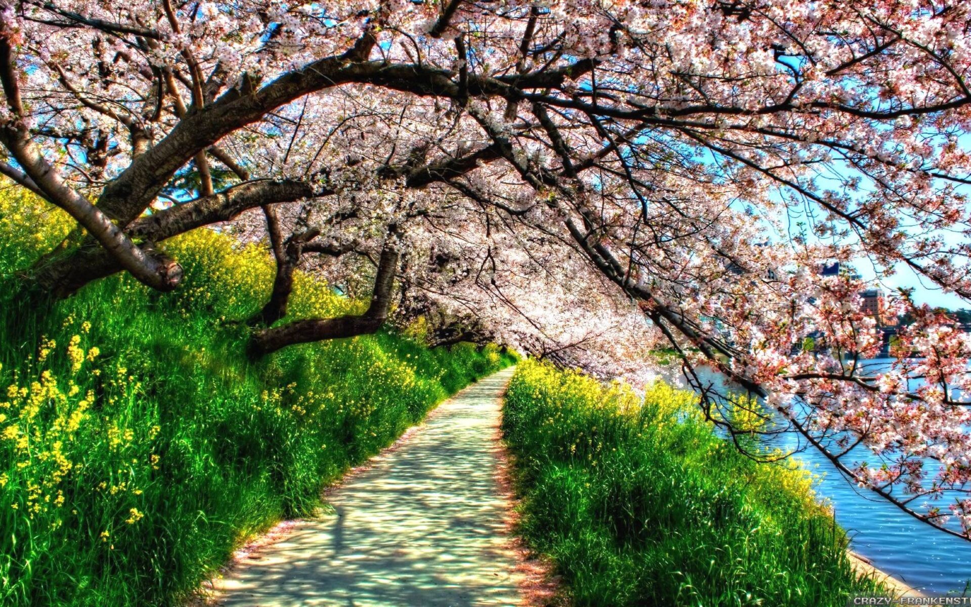 Beautiful Spring Nature Landscape, Wallpaper13.com