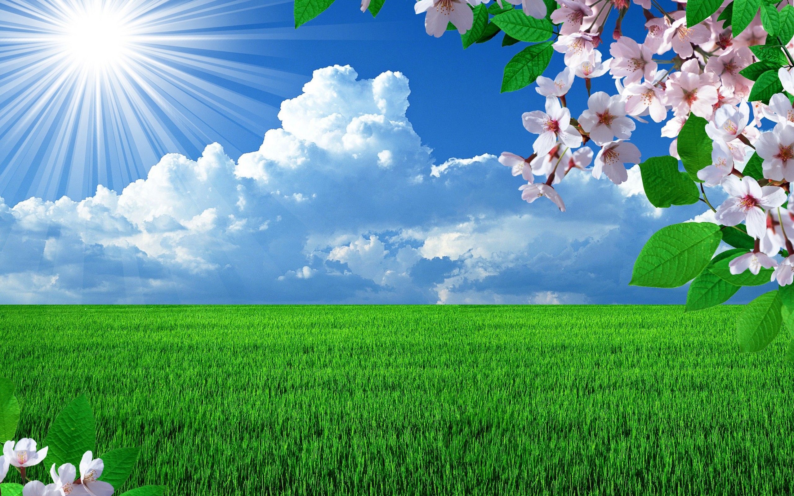 Beautiful Nature Spring Wallpaper Free Beautiful Nature Spring Background