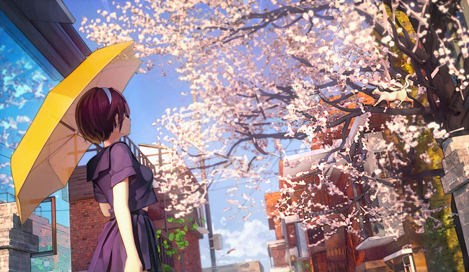 Download Anime Cherry Blossom Umbrella Girl Background