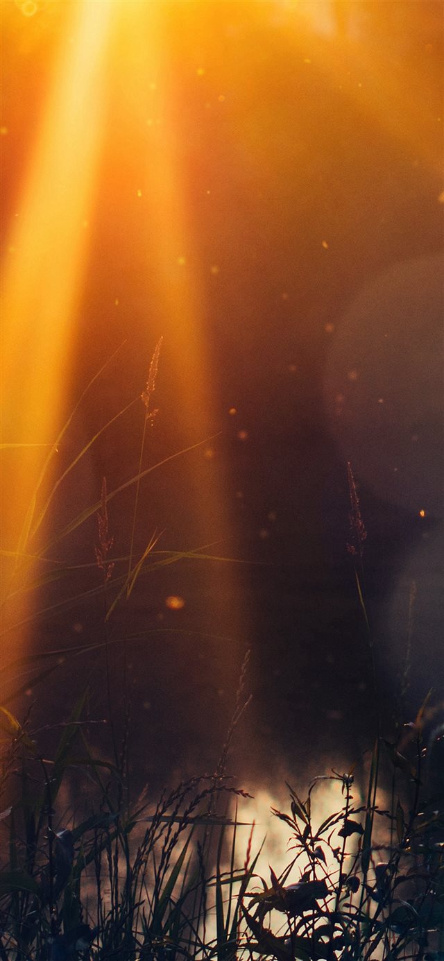 God Light Loves You Nature Flower Lake Flare iPhone X Wallpaper Free Download