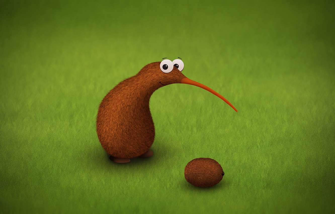 Wallpaper mood, bird, kiwi, fruit image for desktop, section настроения